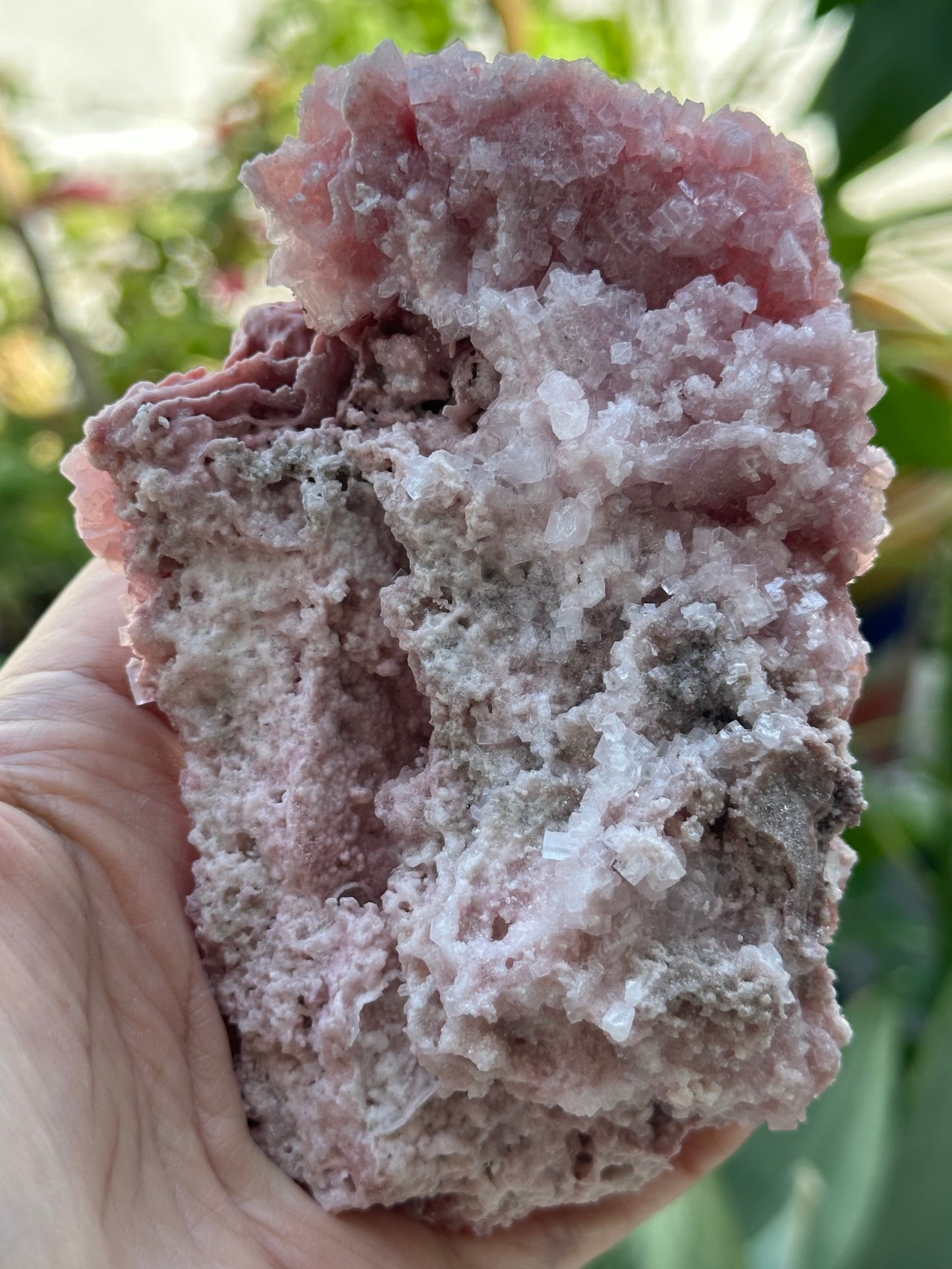 Pink Halite from Searles Lake, California