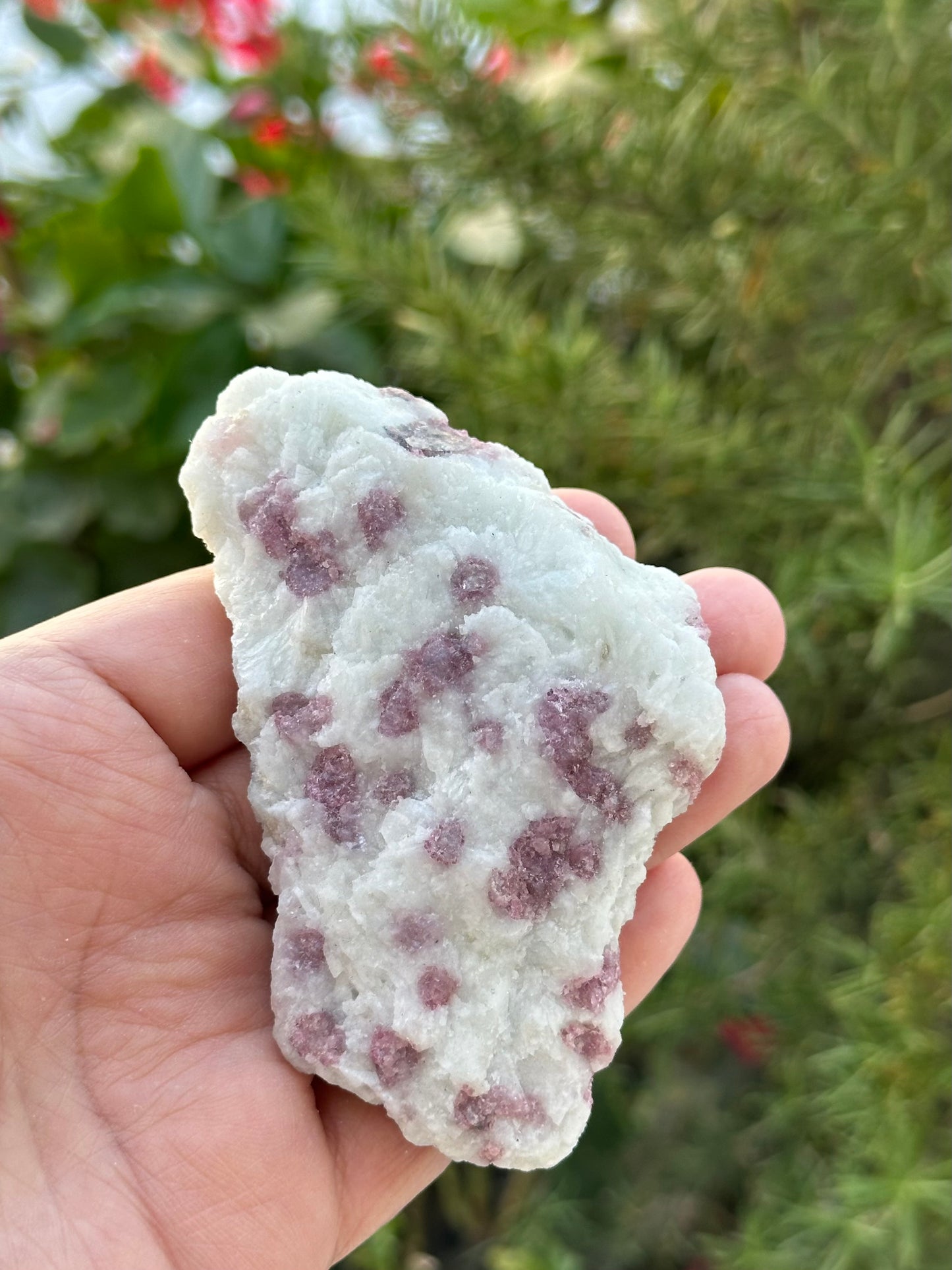 Rough Pink Tourmaline