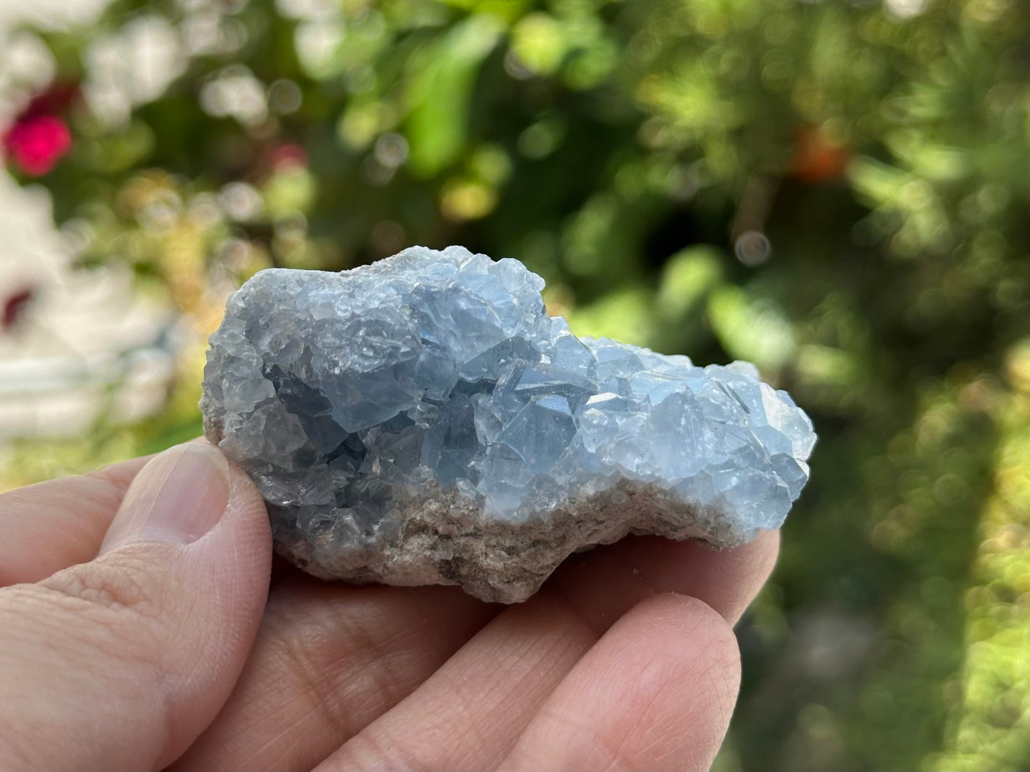 Celestite Cluster from Madagascar