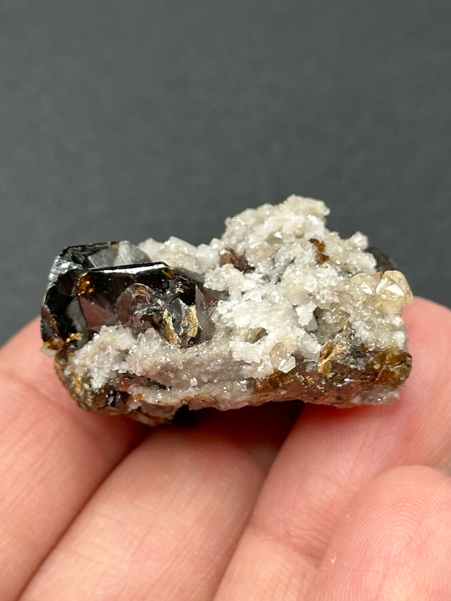 Dolomite and Sphalerite from the Elmwood Mine in Carthage, Tennessee