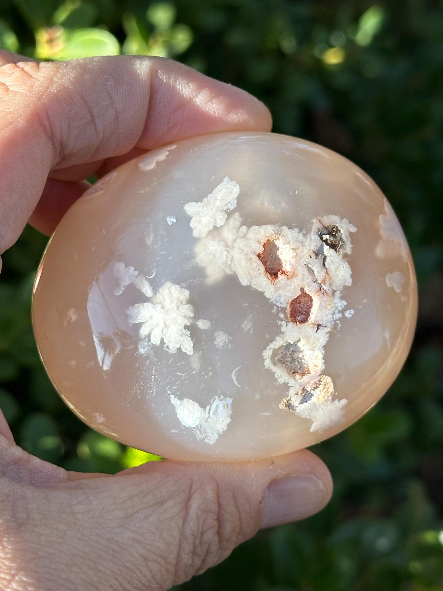 Flower Agate Palm Stone