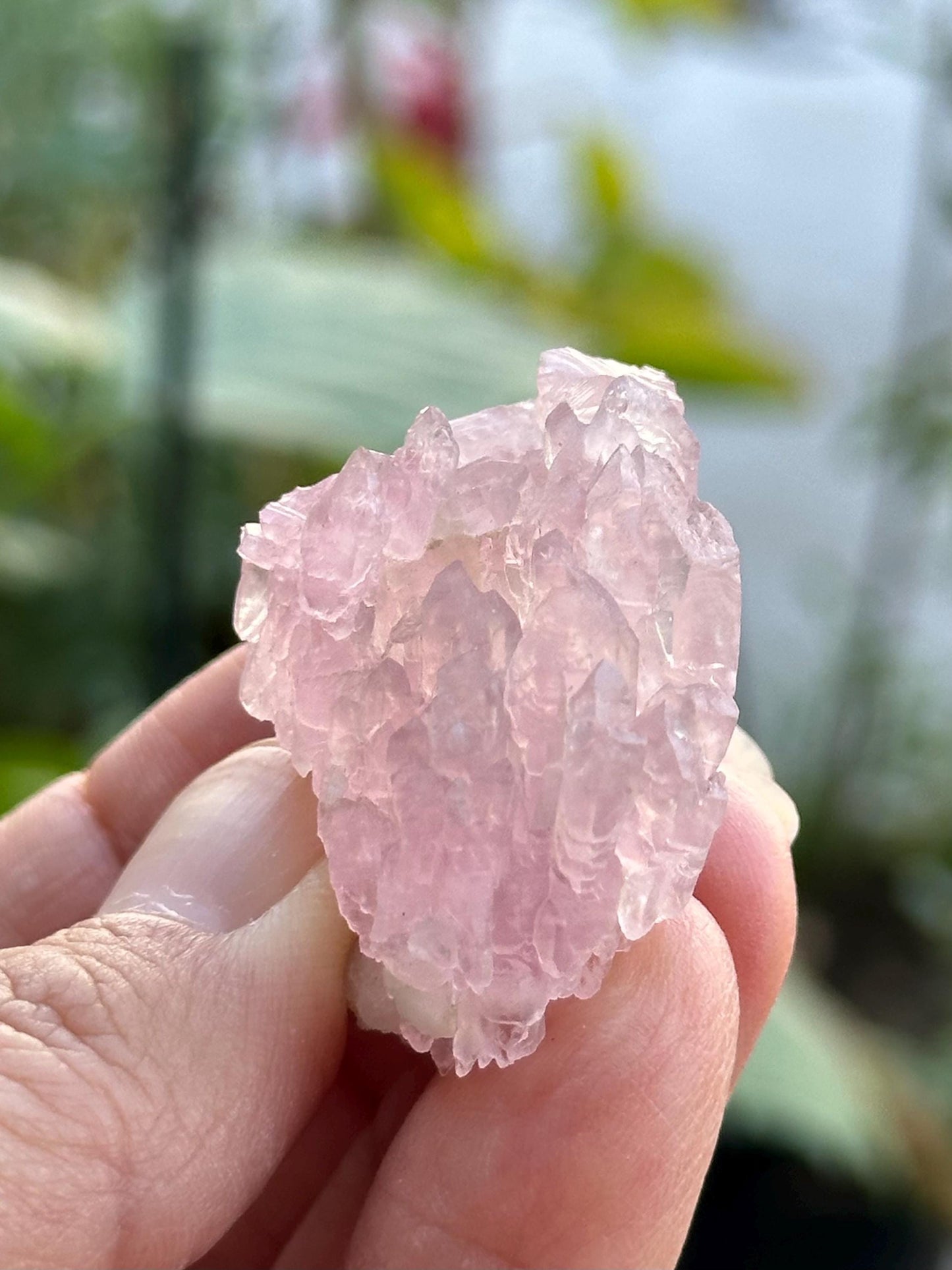 Crystallized Rose Quartz from Brazil