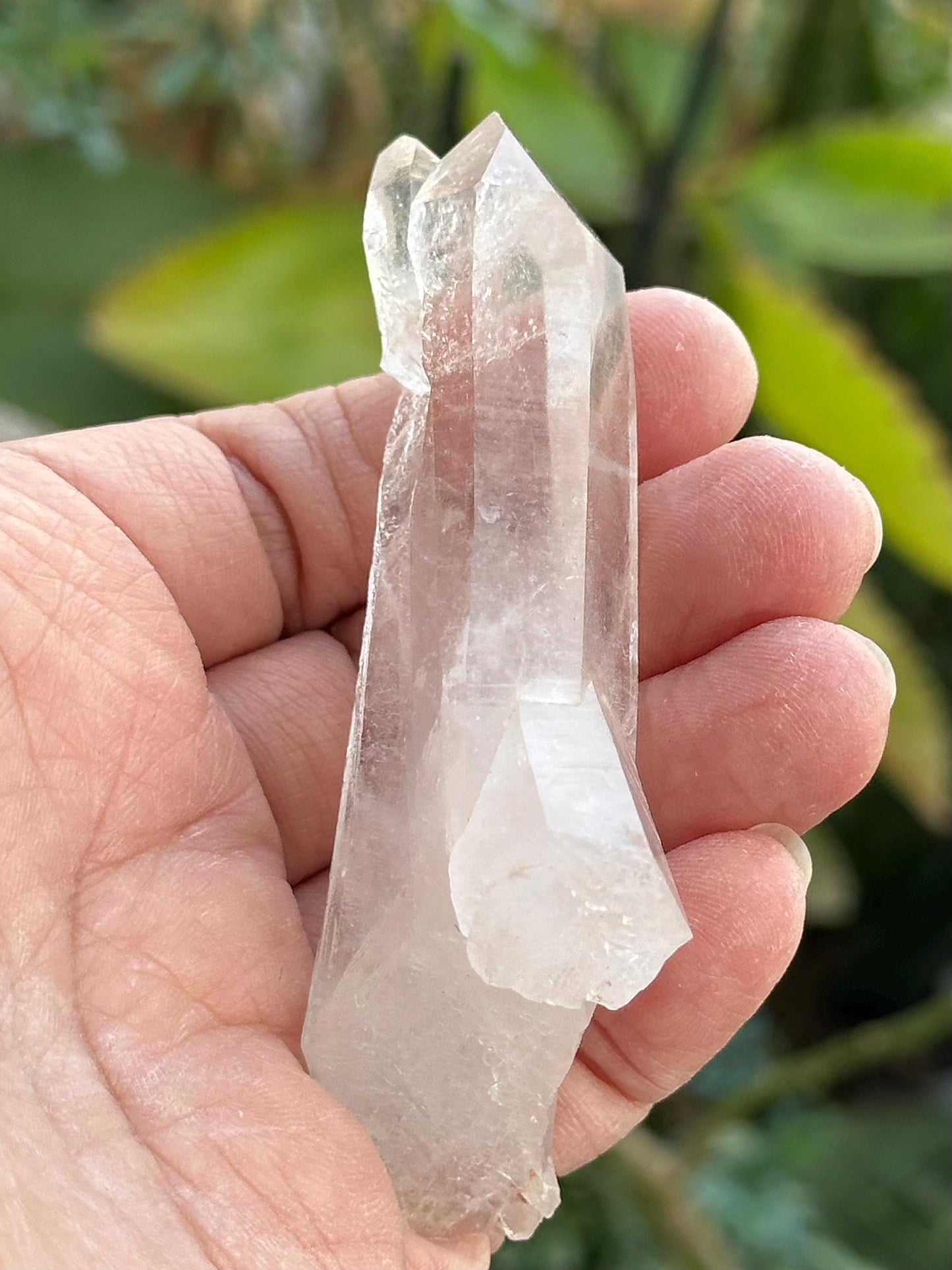 Lemurian Quartz