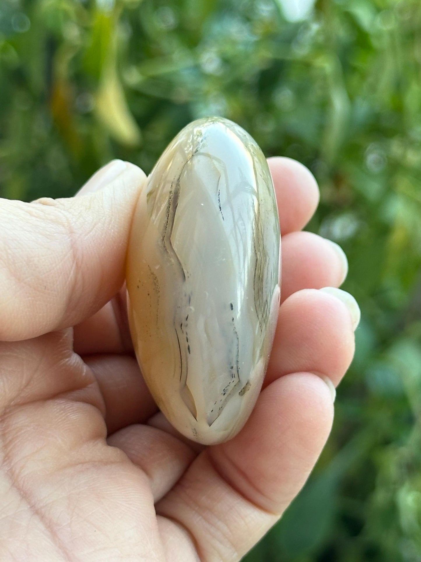 Dendritic Agate Palm Stone