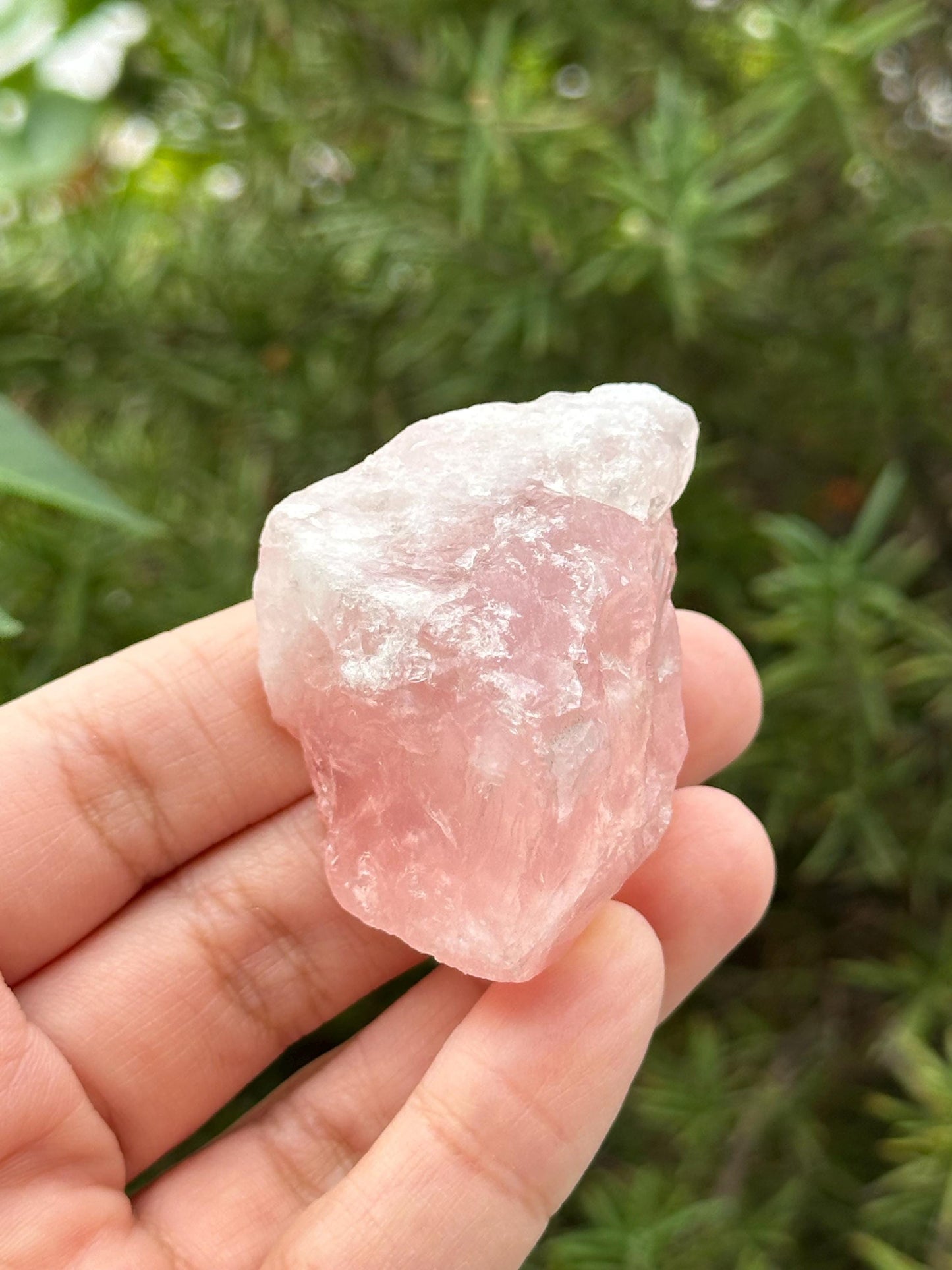 Raw Rose Quartz from Brazil