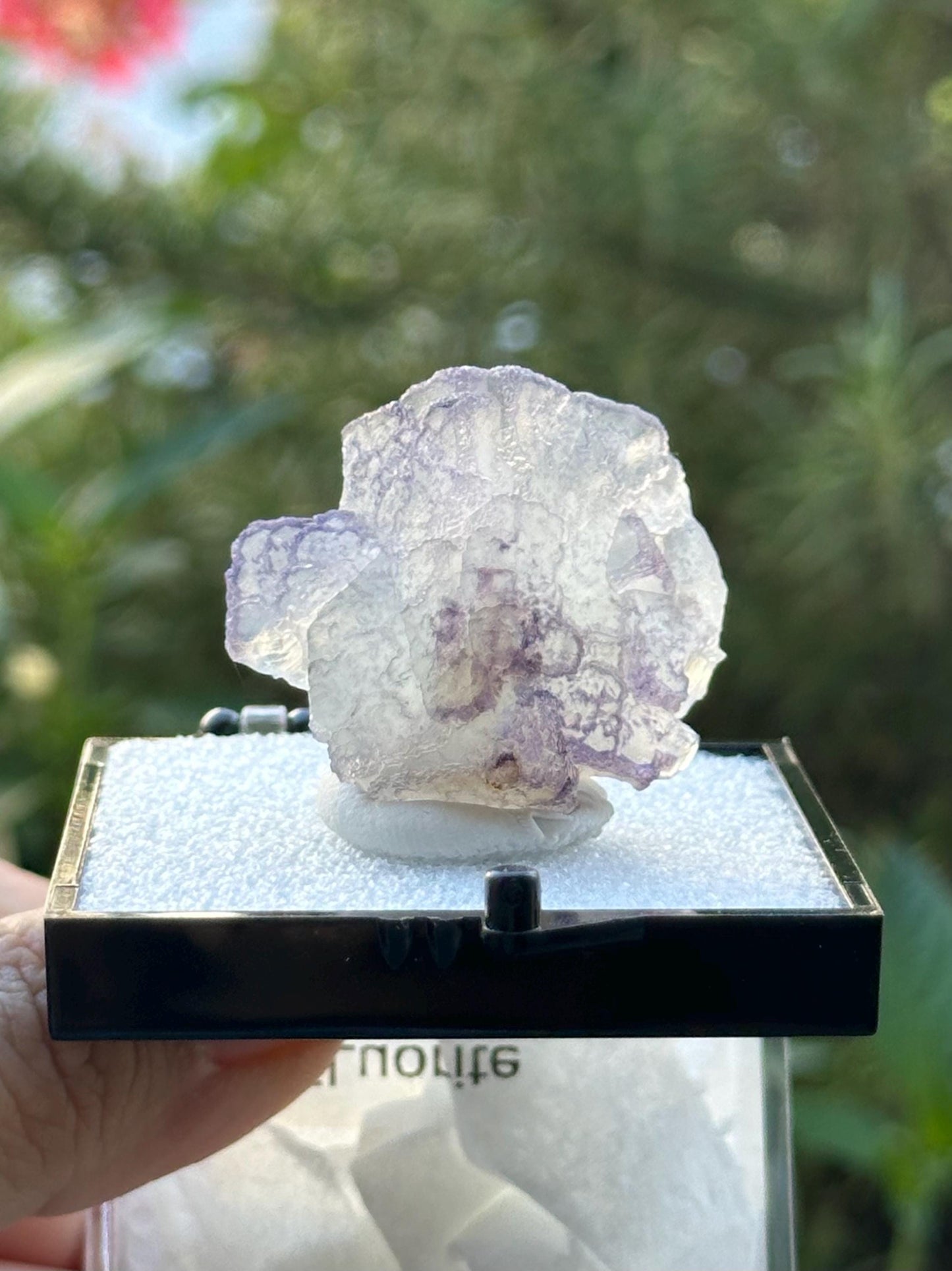 QR Code Fluorite Specimen in a perky box from Quinlong Mine, Guizhou, China
