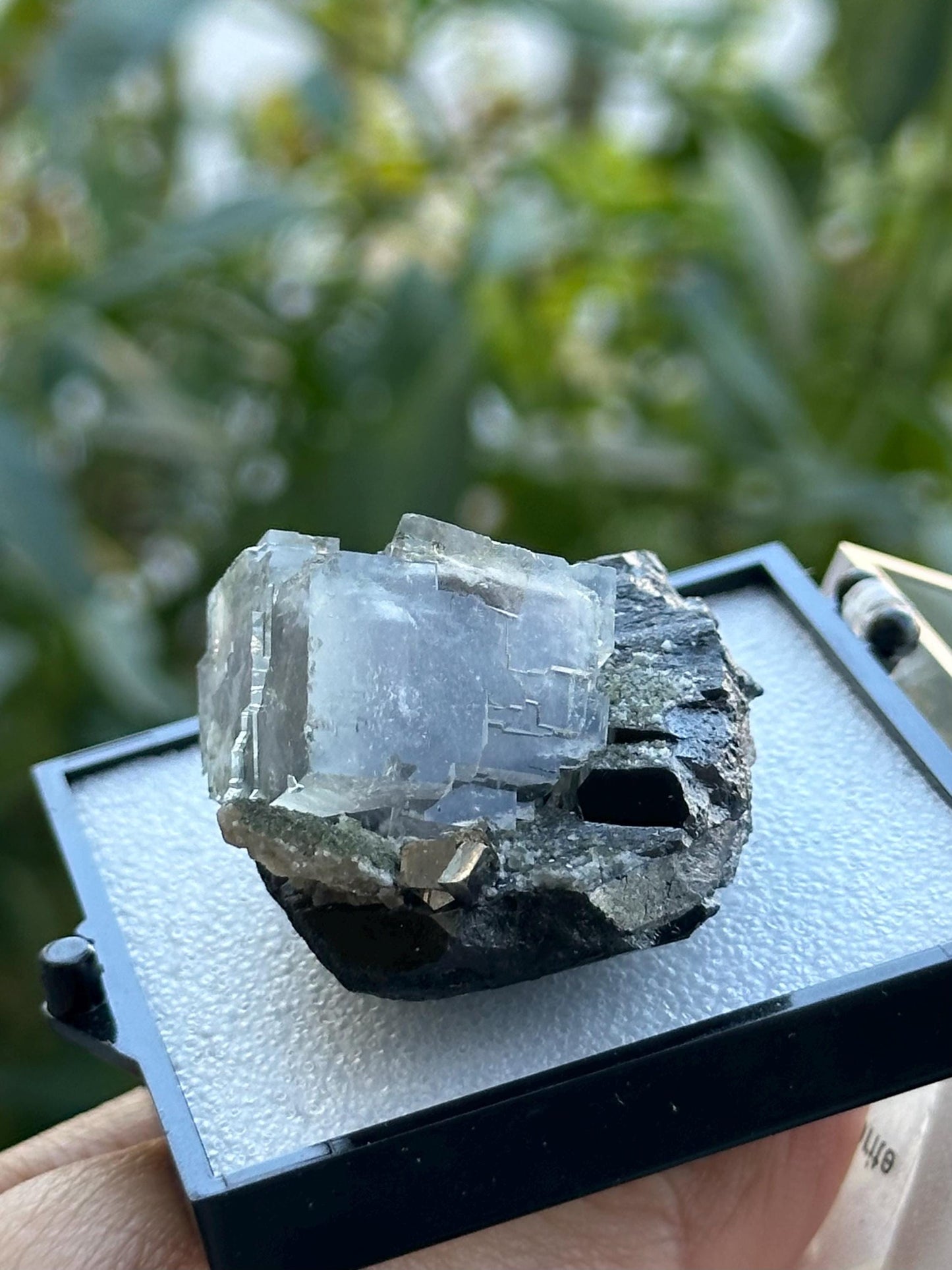 Wolframite Fluorite from the Yaogangxian Mine
