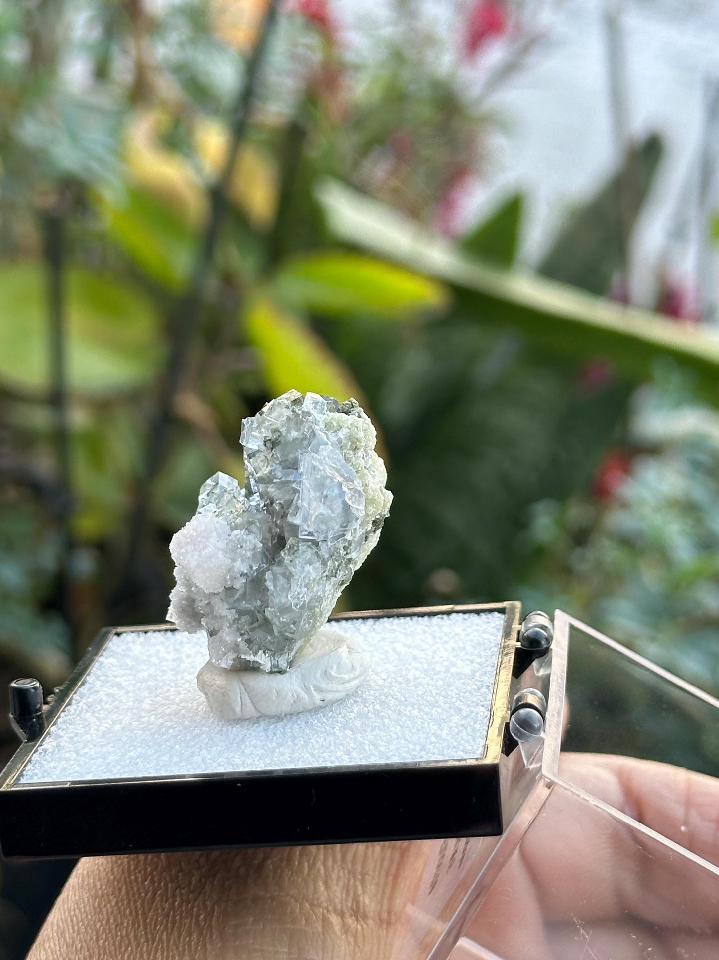 Fluorite Specimen from the Yaogangxian Mine