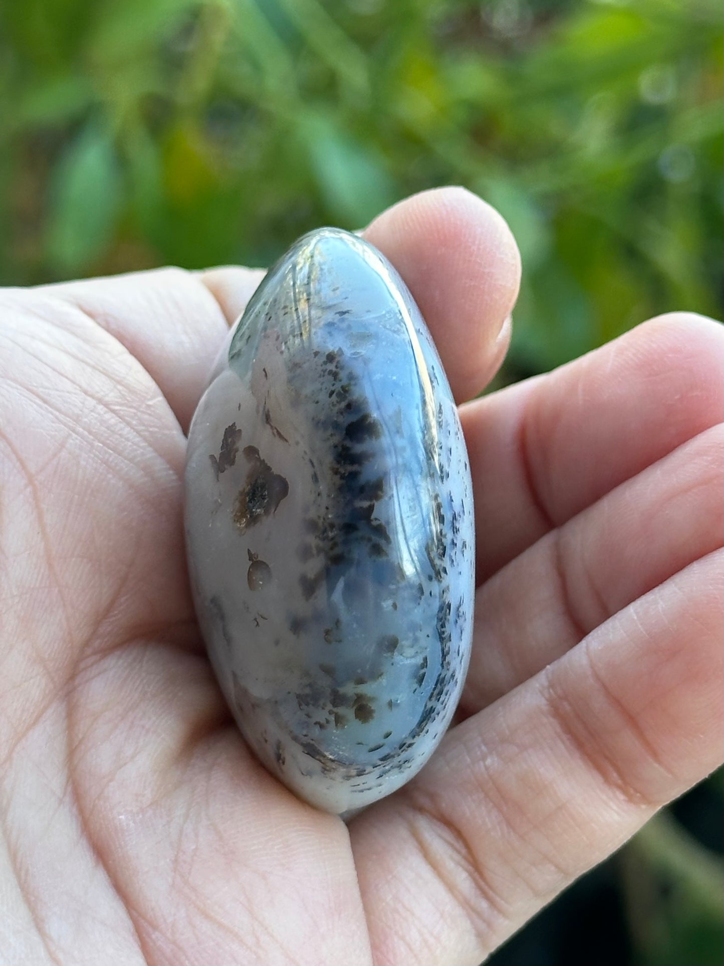 Dendritic Agate Palm Stone