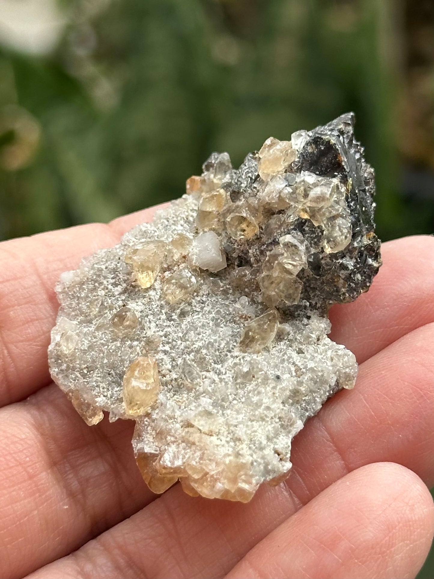 Dolomite, Sphalerite, and Calcite from the Elmwood Mine in Carthage, Tennessee