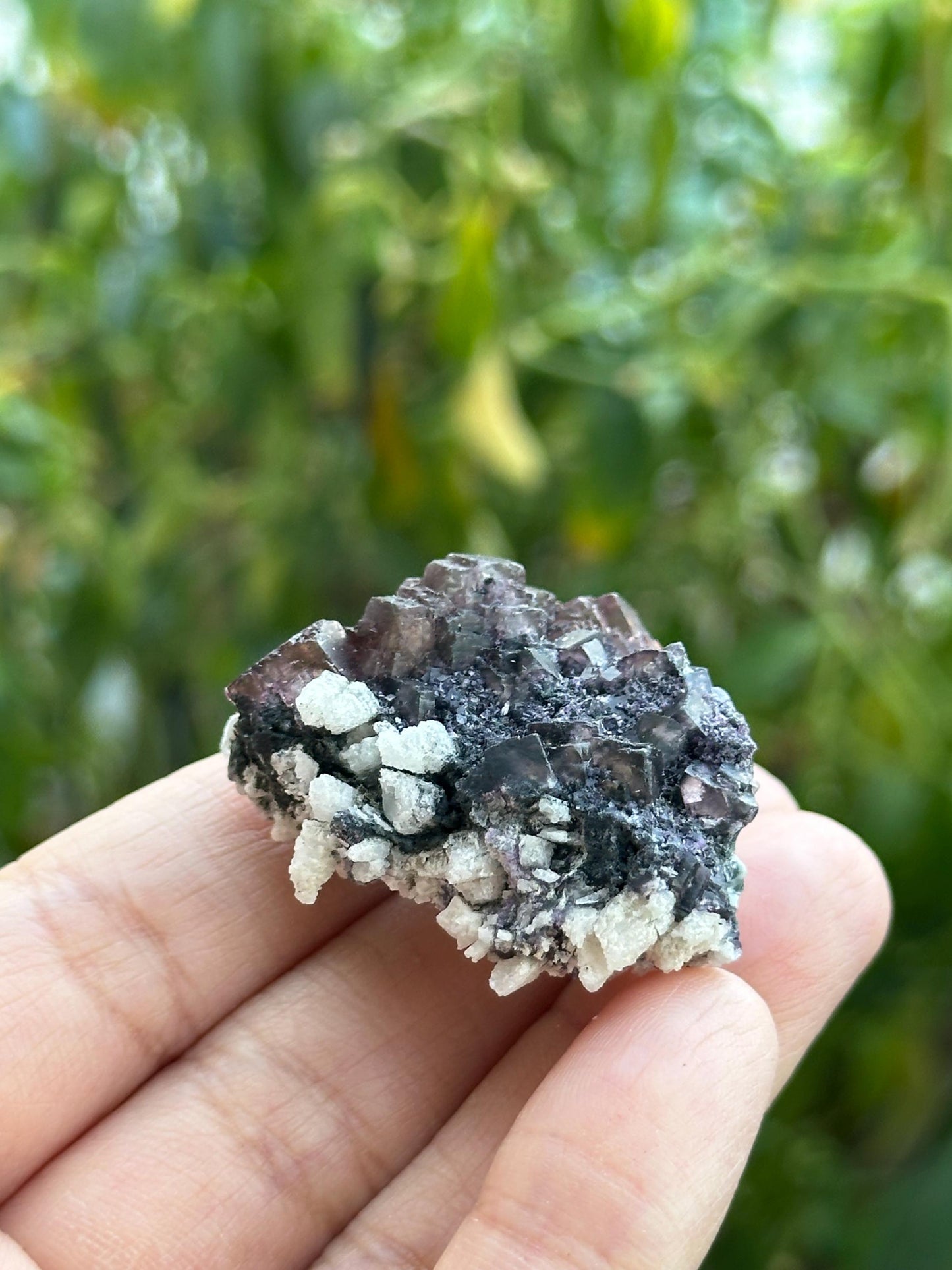 Fluorite with Calcite Specimen