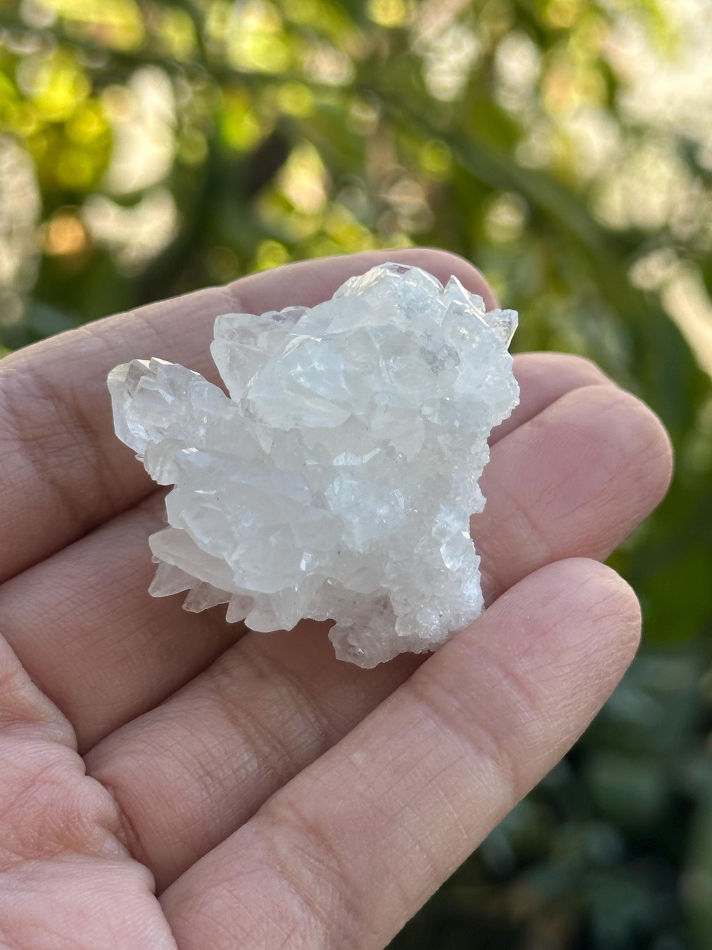 Quartz Cluster from Brazil