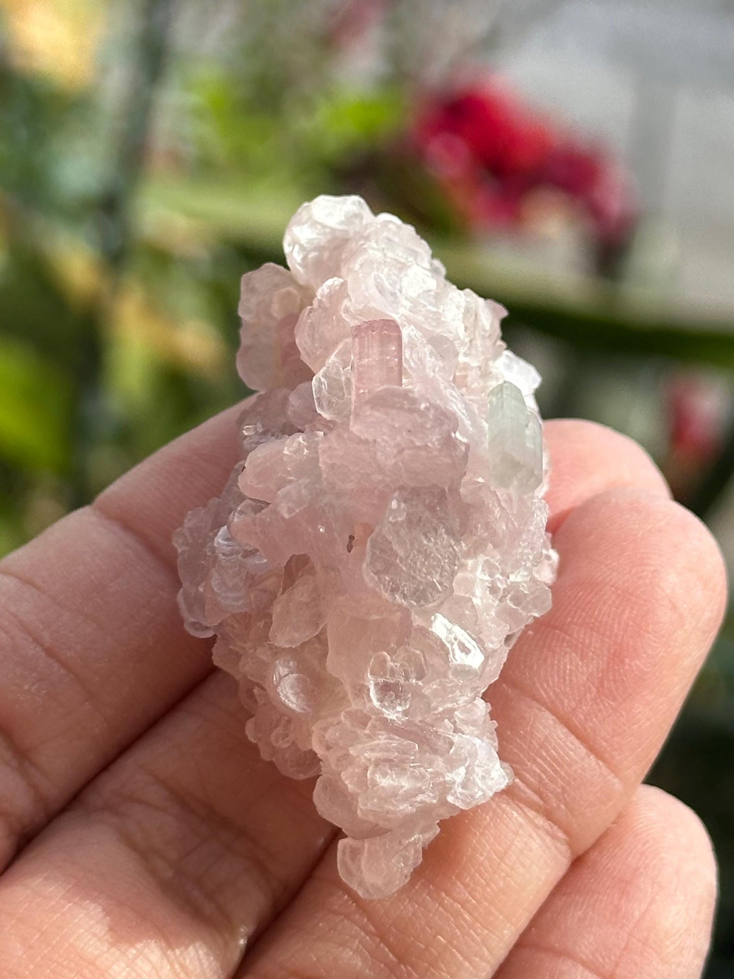 Pink Tourmaline with Lepidolite Flower