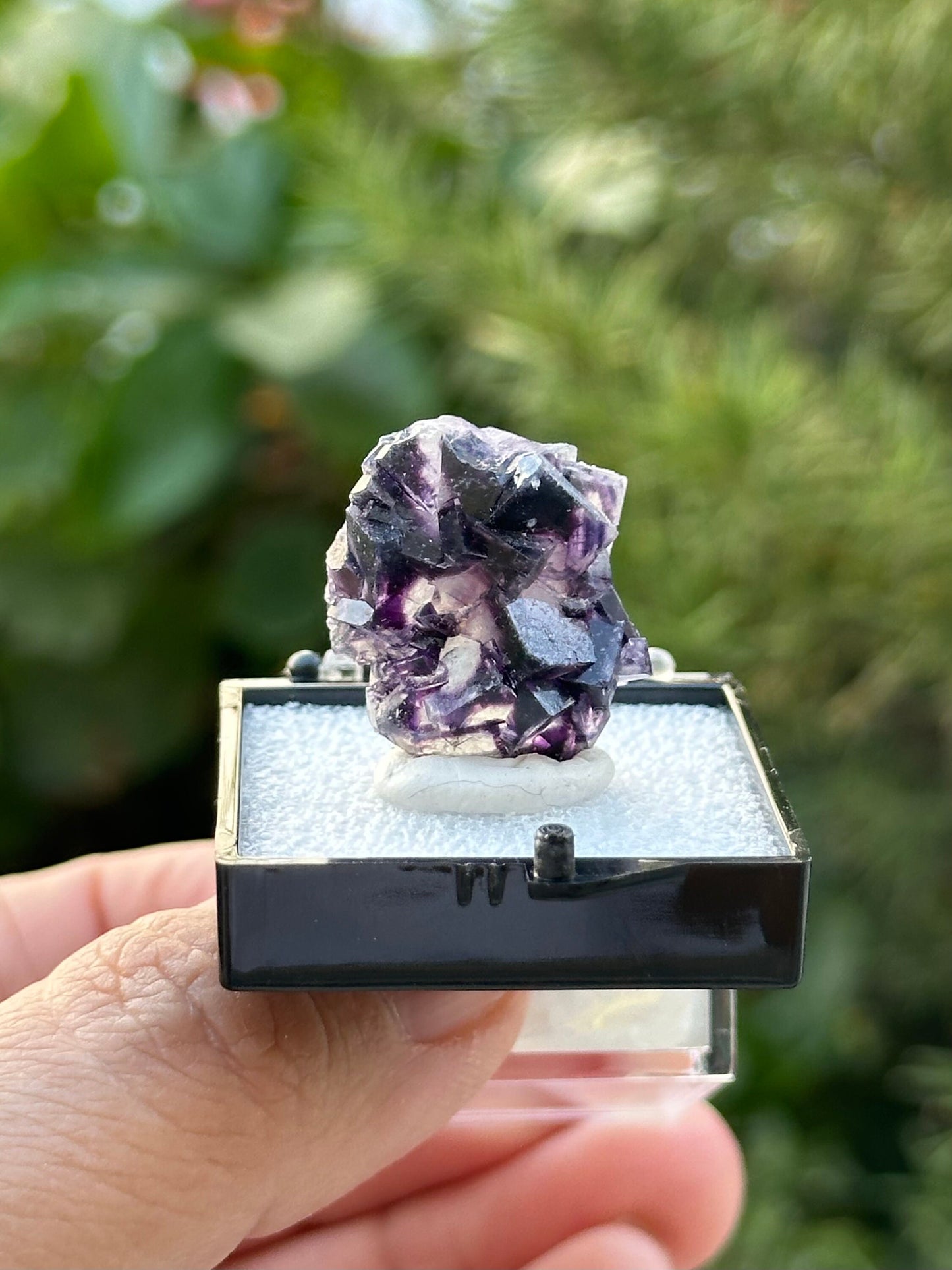 Fluorite in a perky box from the Yindu Mine, Inner Mongolia, China