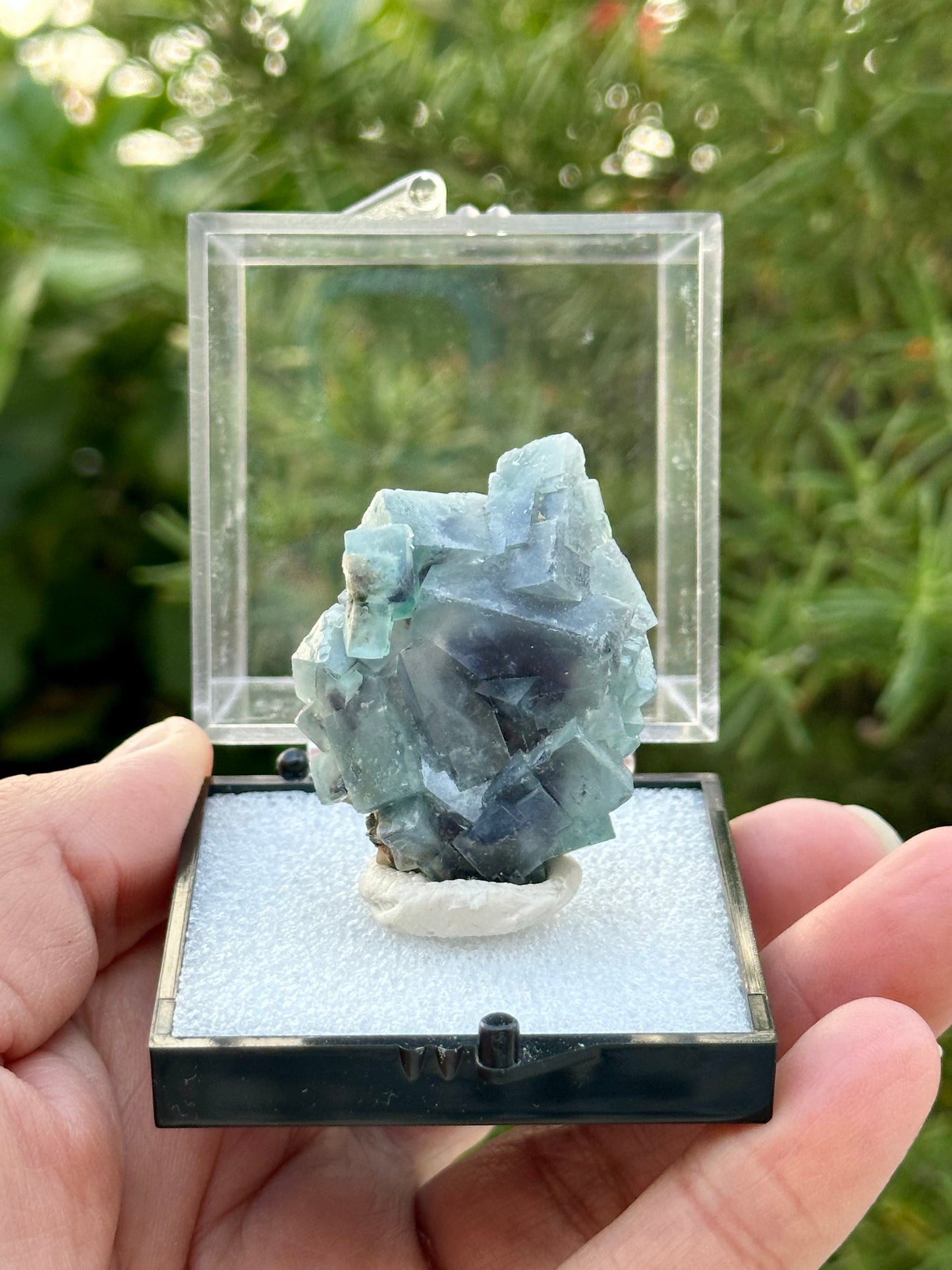 Fluorite in perky box from the Yindu Mine, Inner Mongolia, China