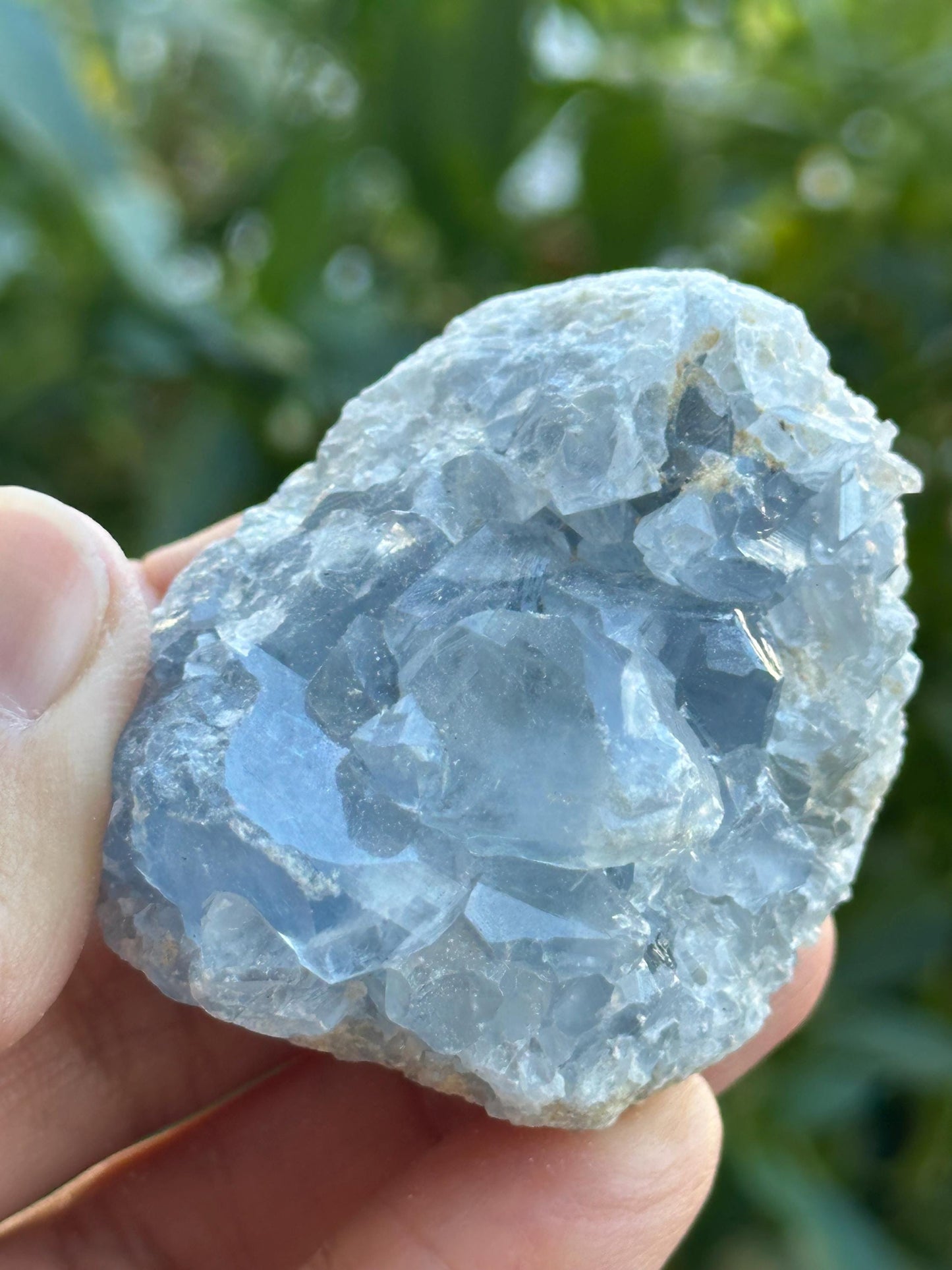 Celestite Cluster