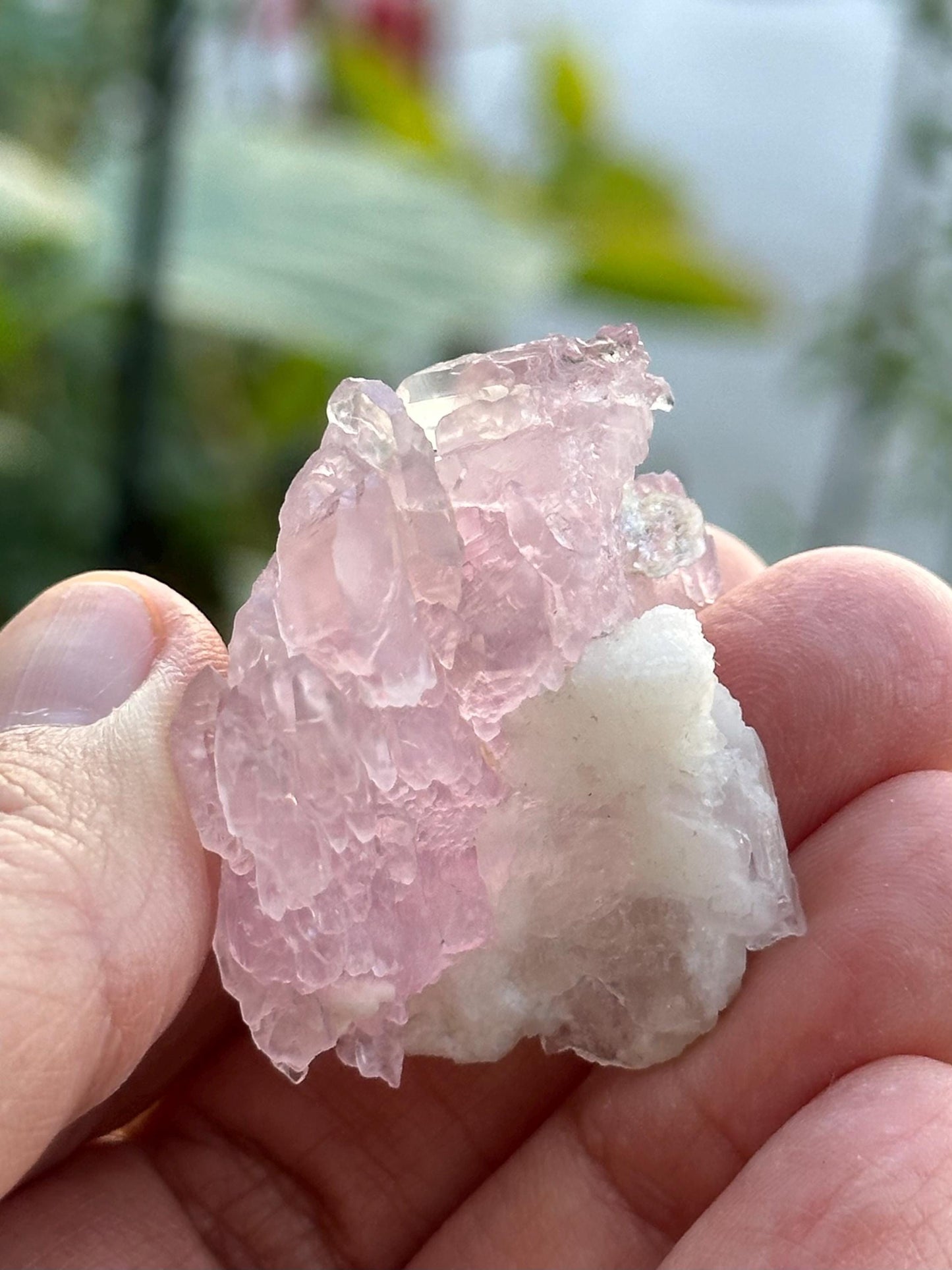 Crystallized Rose Quartz from Brazil