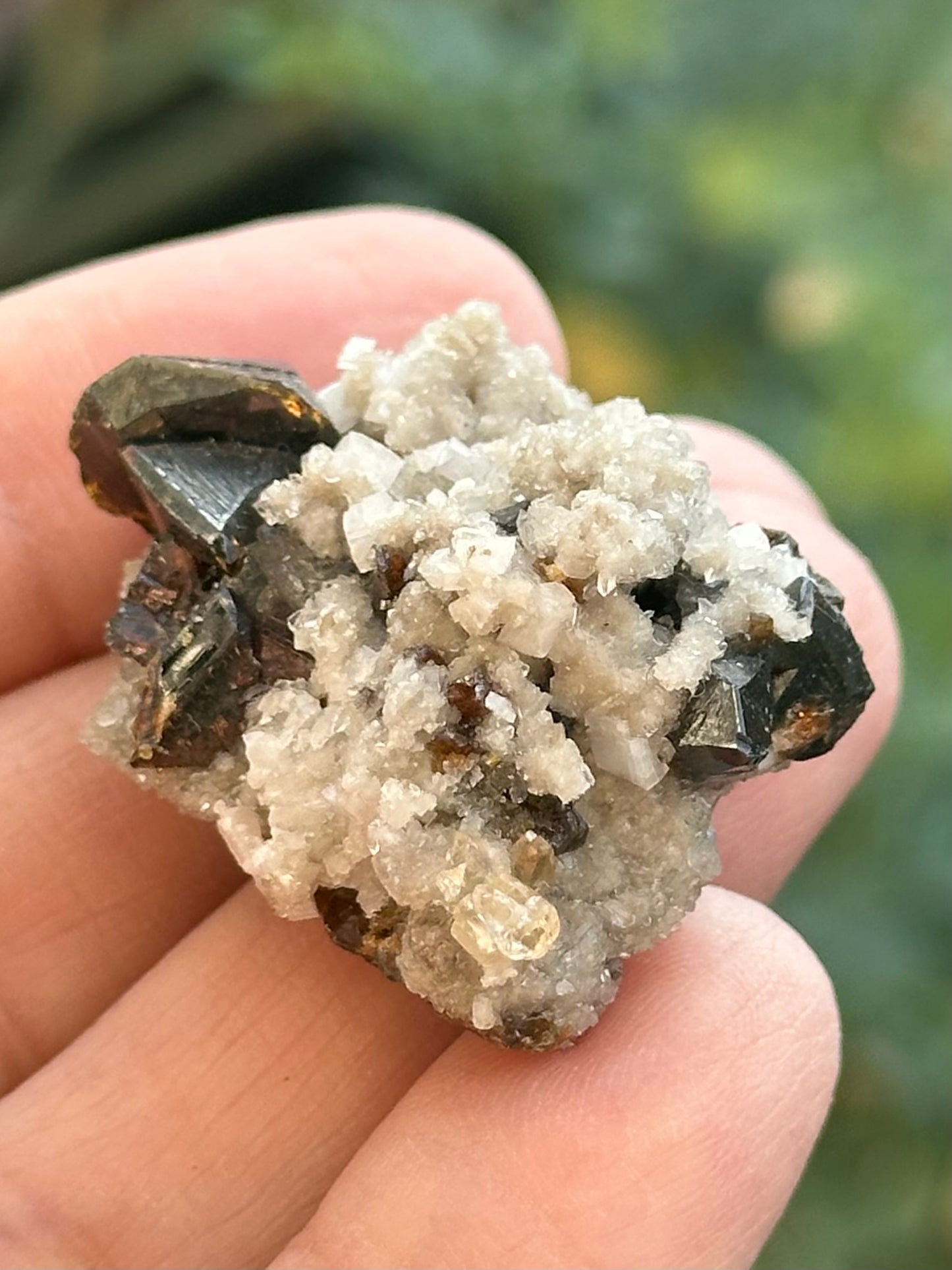 Dolomite and Sphalerite from the Elmwood Mine in Carthage, Tennessee
