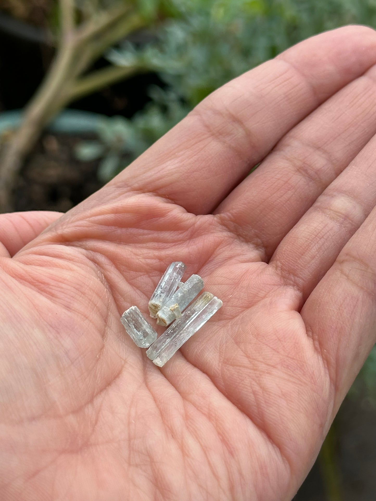 10.42 Gram Lot of Aquamarine Crystals