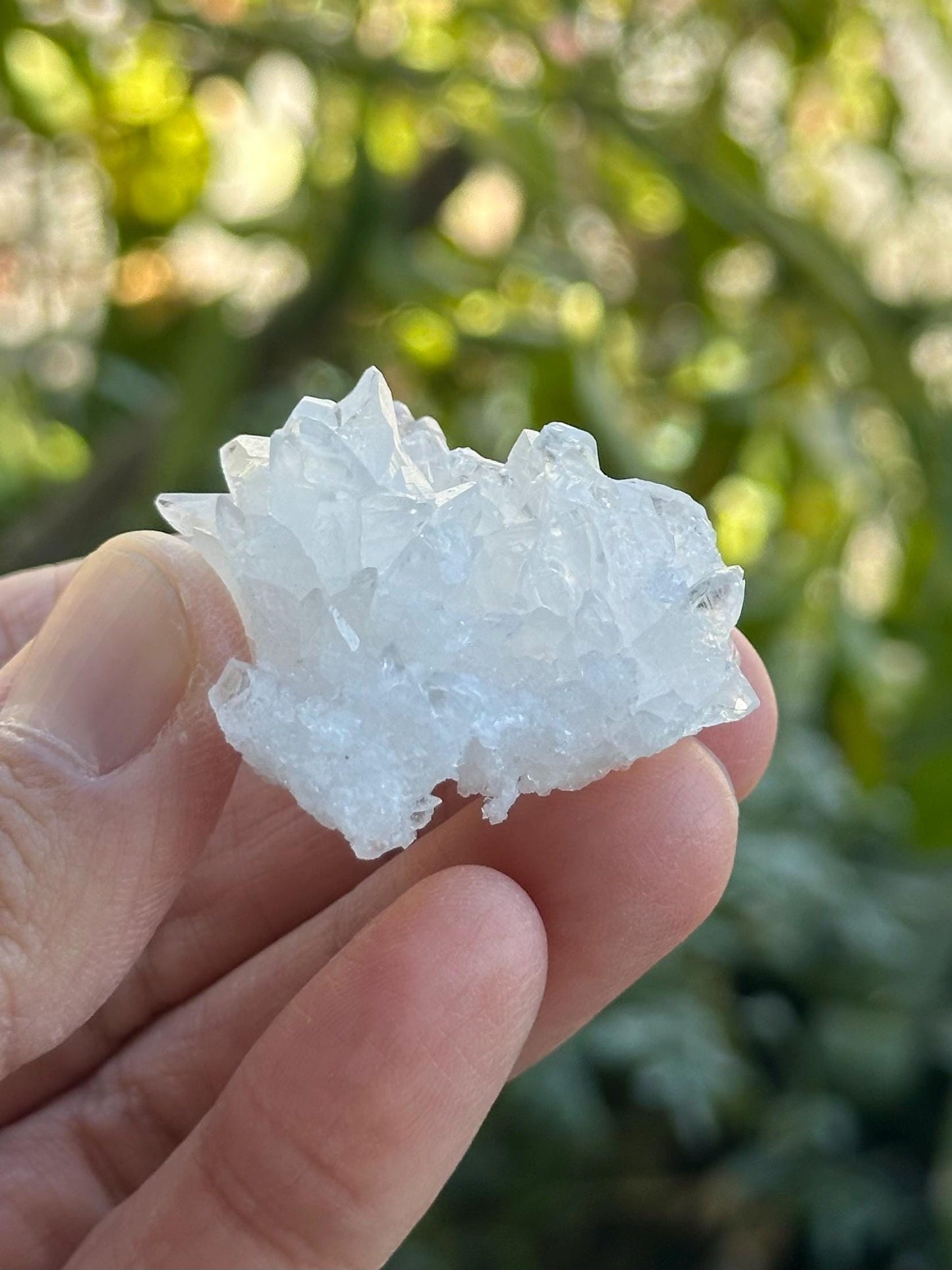 Quartz Cluster from Brazil