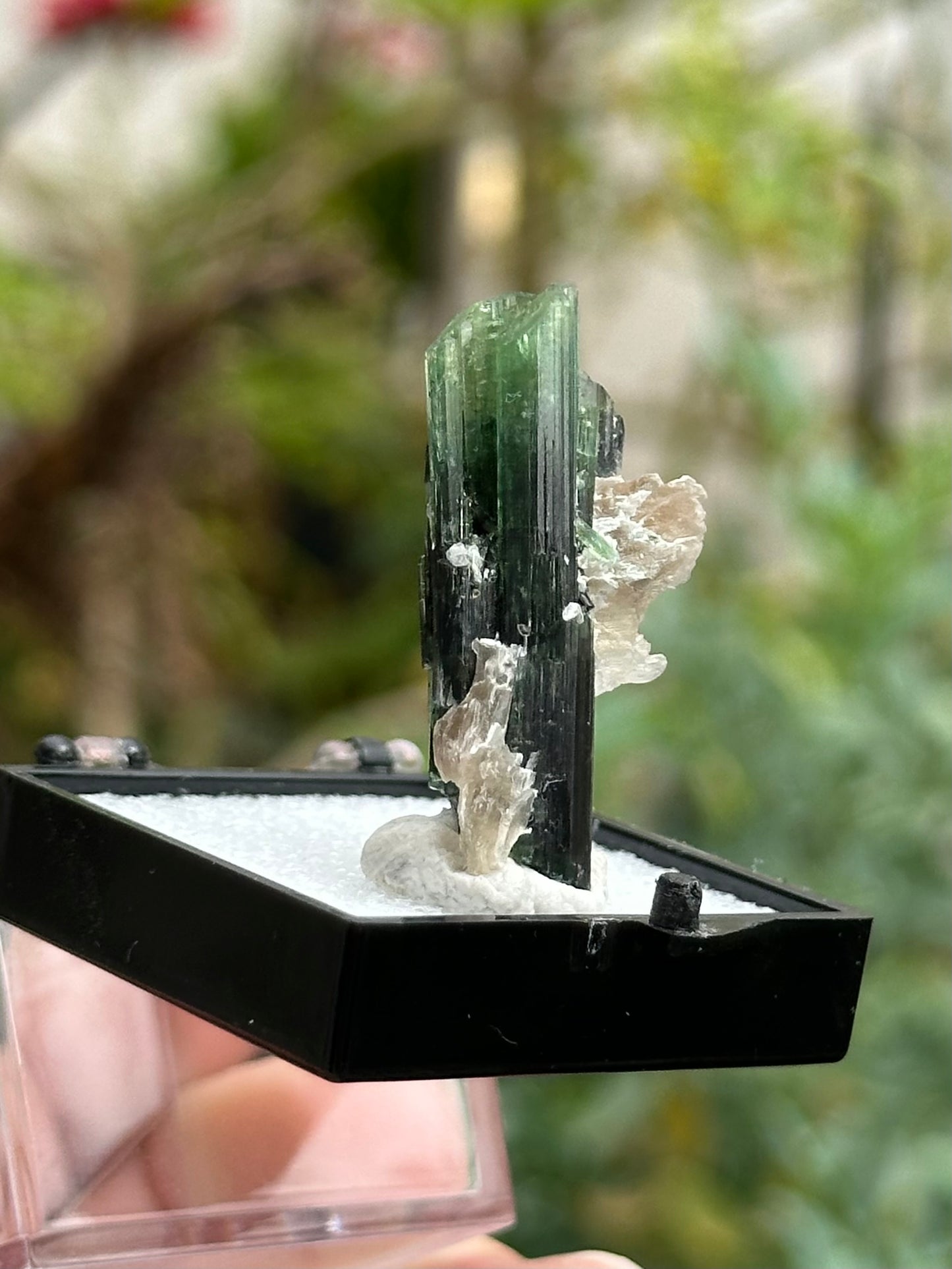 Green Tourmaline and Lepidolite from Stak Nala, Pakistan