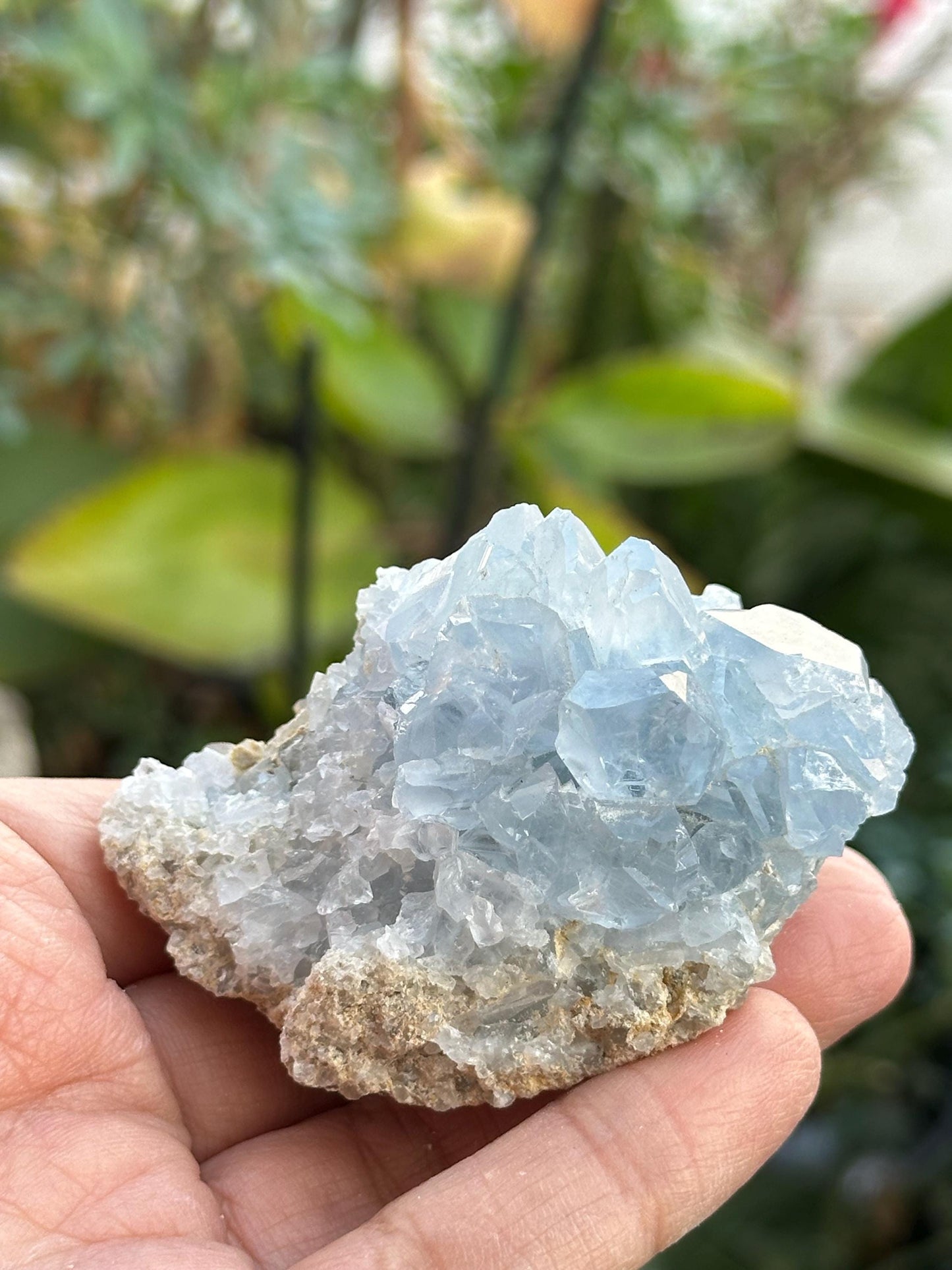 Celestite Cluster