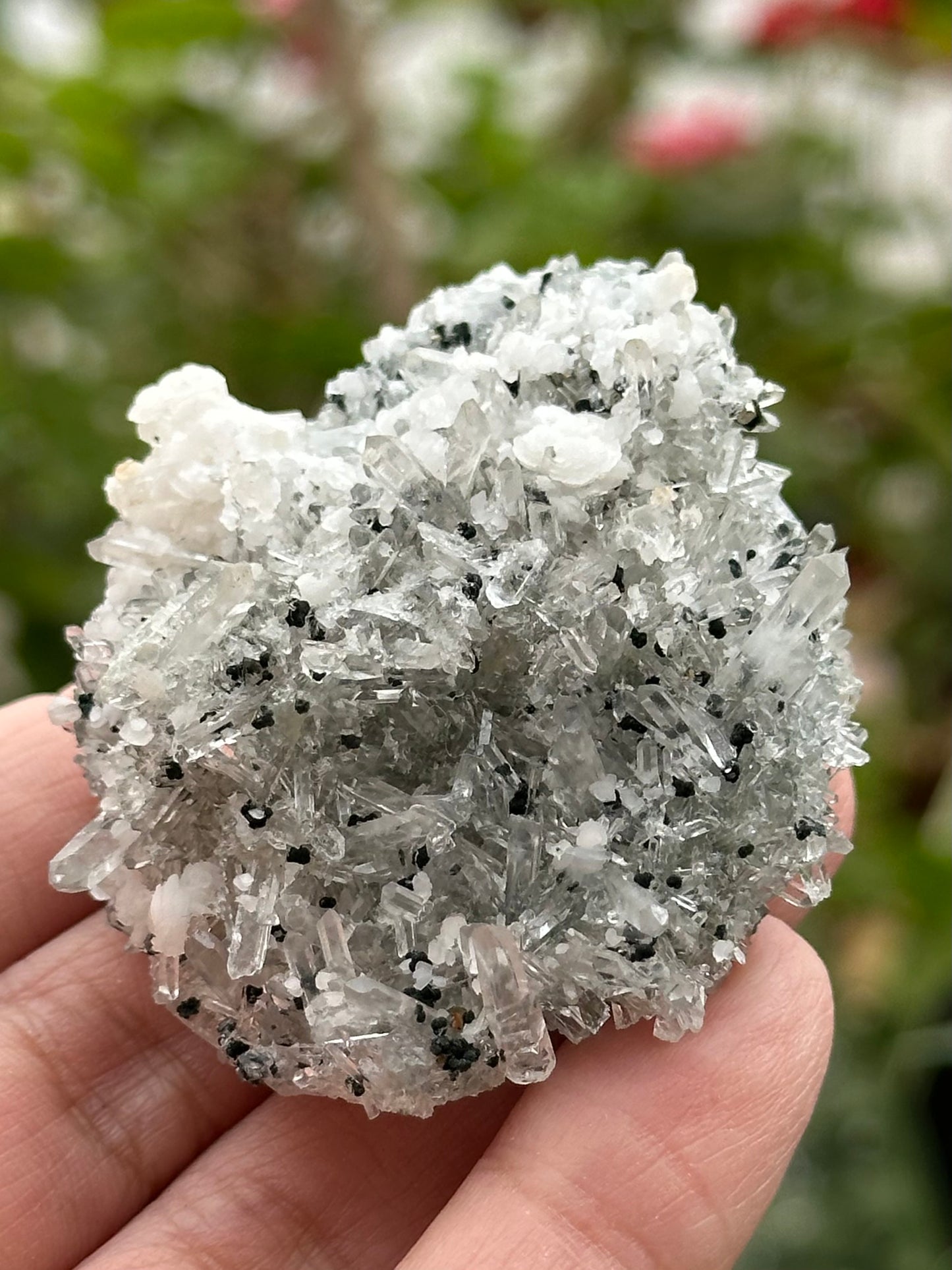 Quartz Specimen from Bulgaria