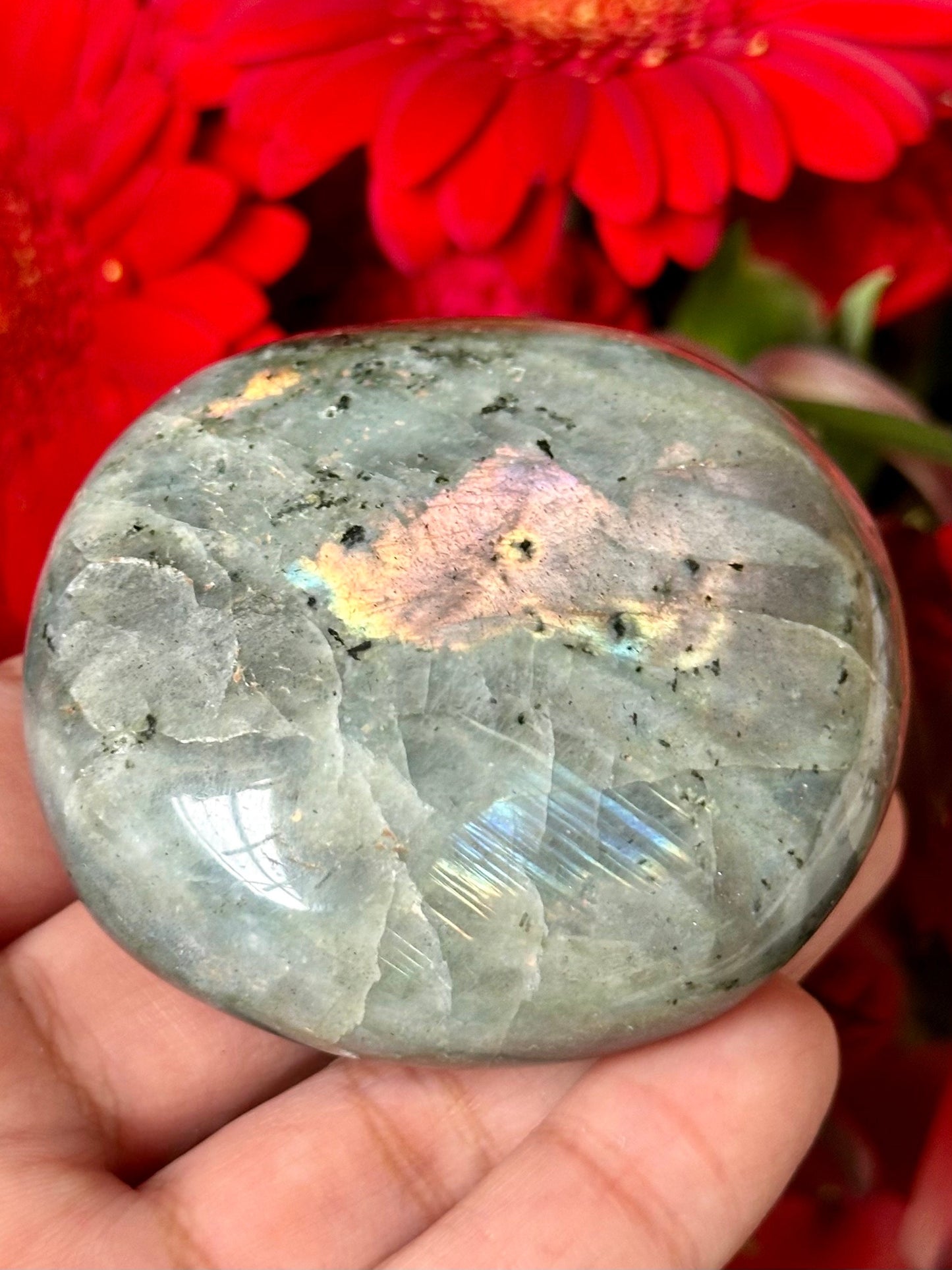 Labradorite Palm Stone from Madagascar