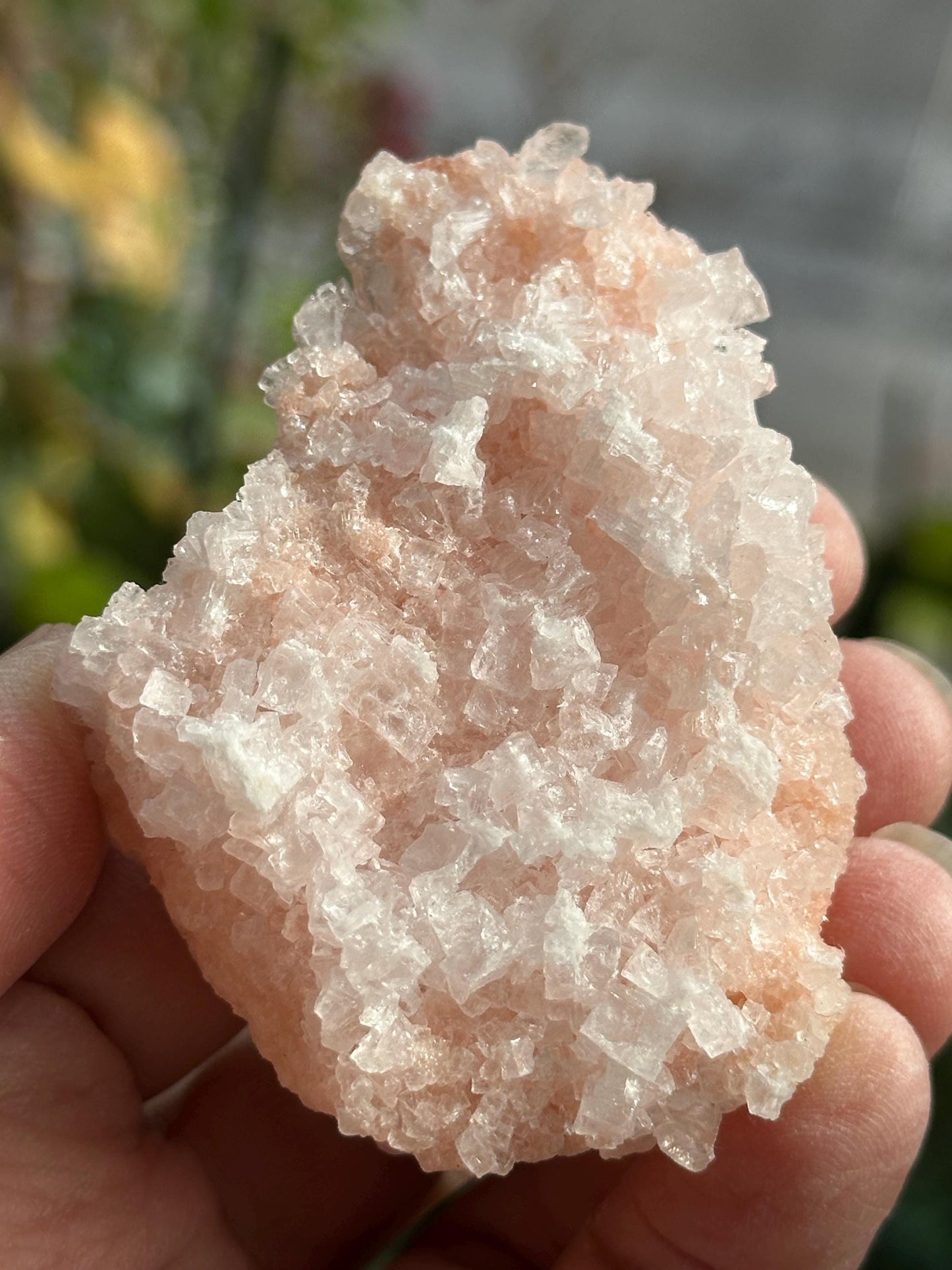 Light Pink Halite on Trona