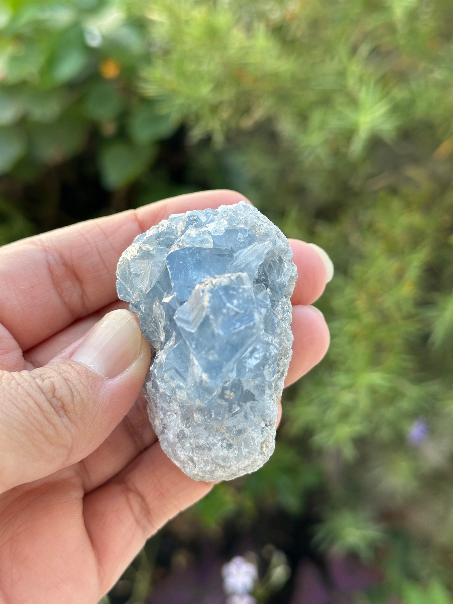 Celestite Cluster from Madagascar