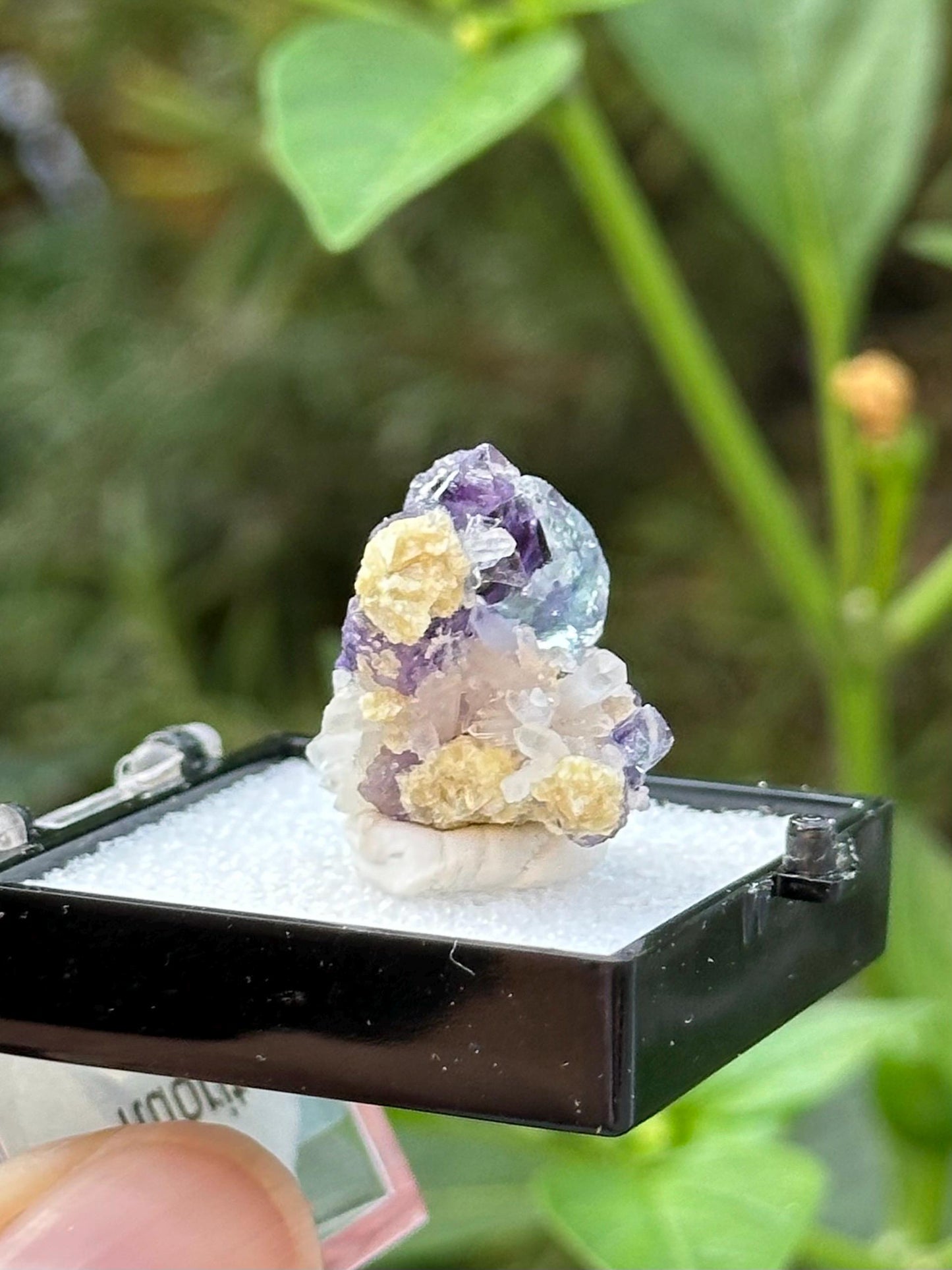 Fluorite with Quartz from the Yindu Mine, Inner Mongolia, China