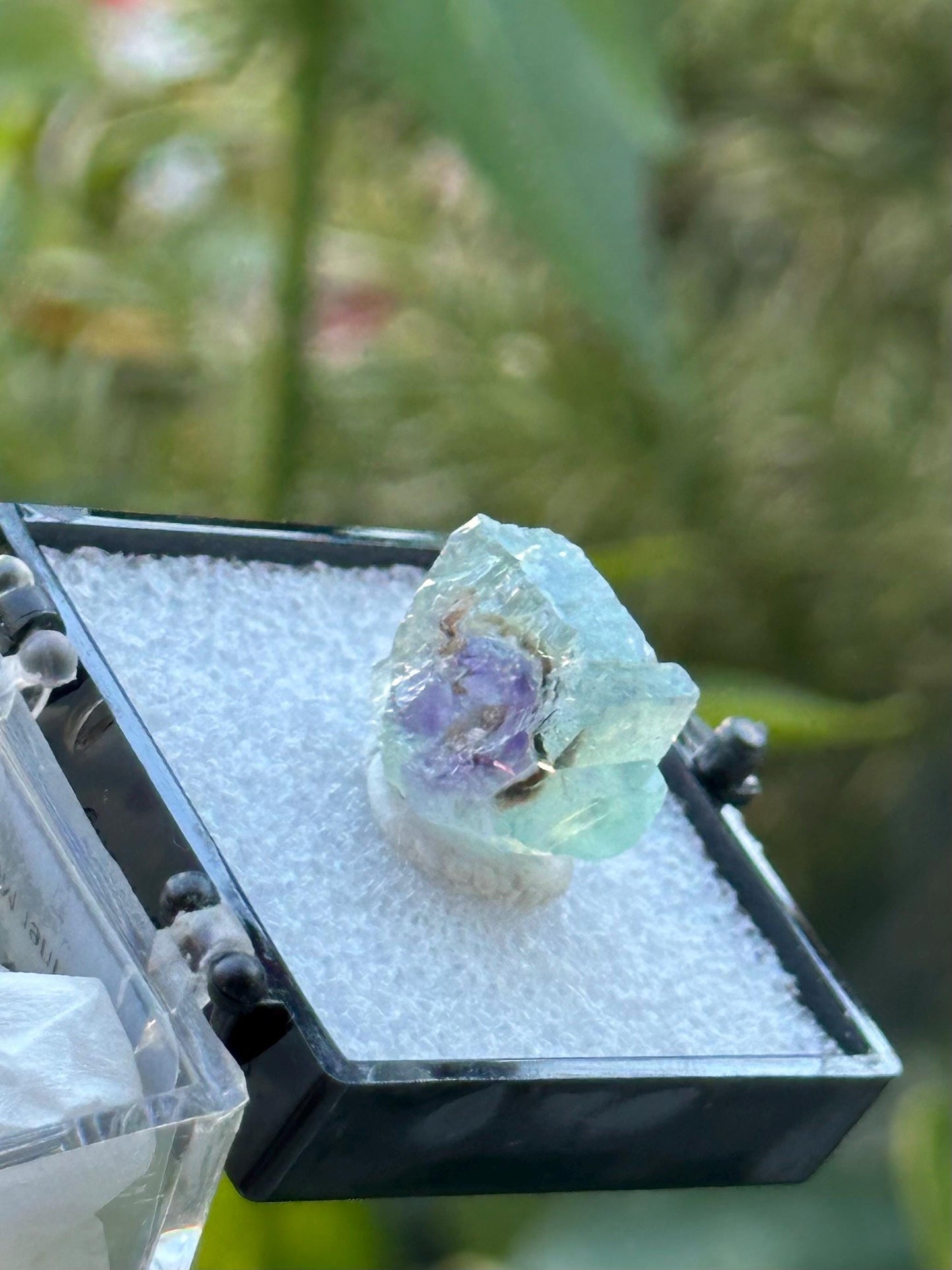 Fluorite from the Yindu Mine