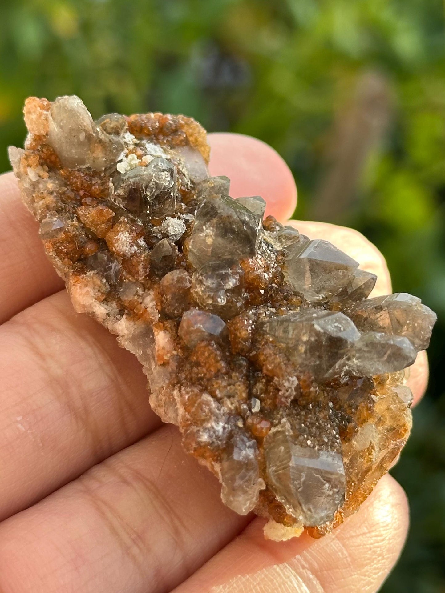 Smoky Quartz and Garnet Specimen from Tongbei