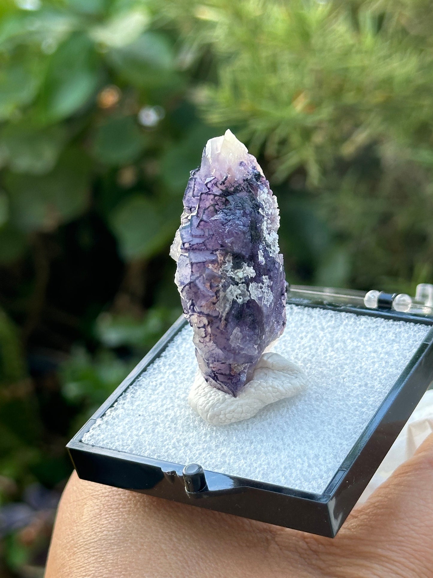 QR Code Fluorite in a perky box from Quinlong Mine, Guizhou, China