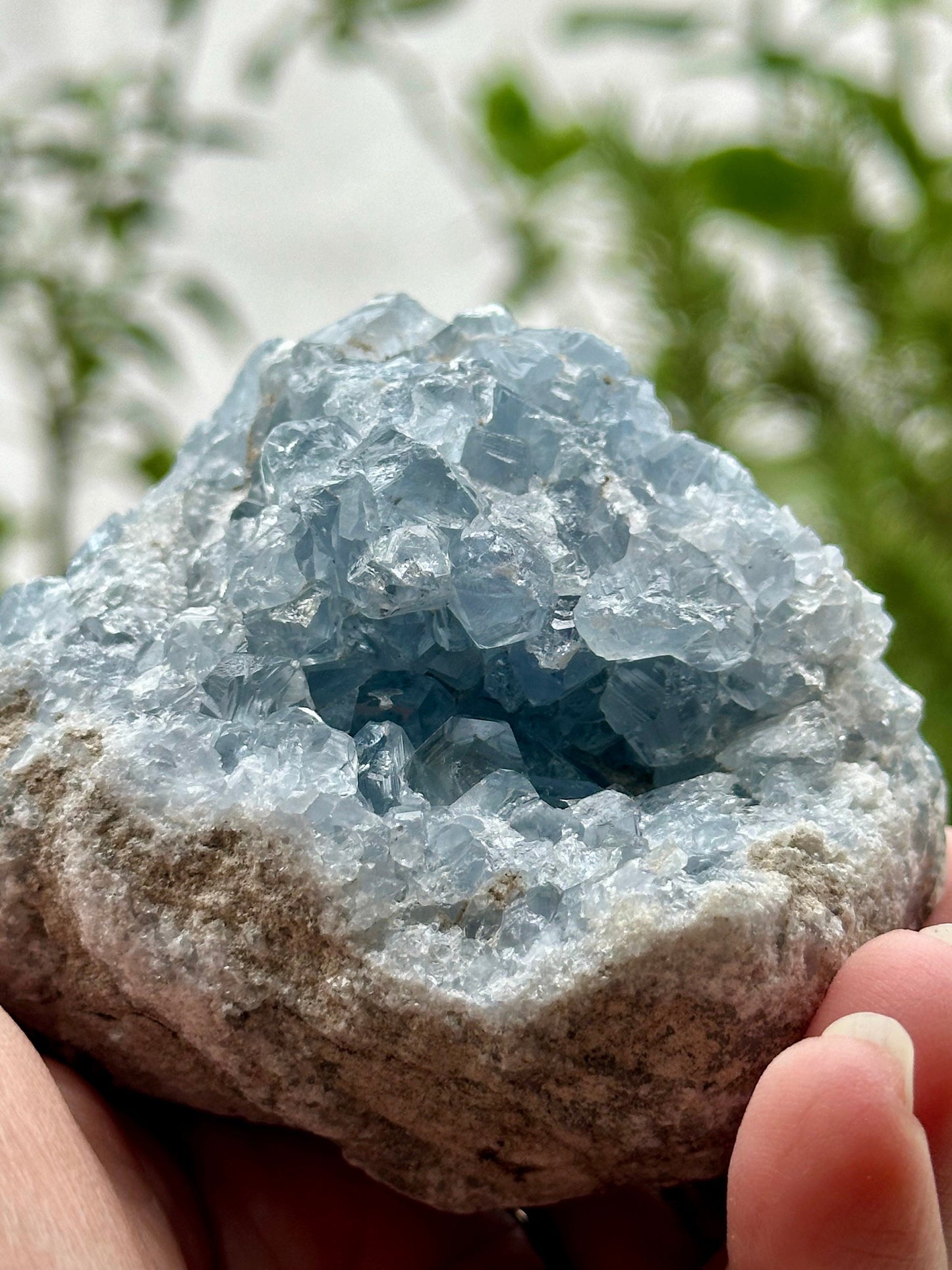 Celestite Cluster from Madagascar