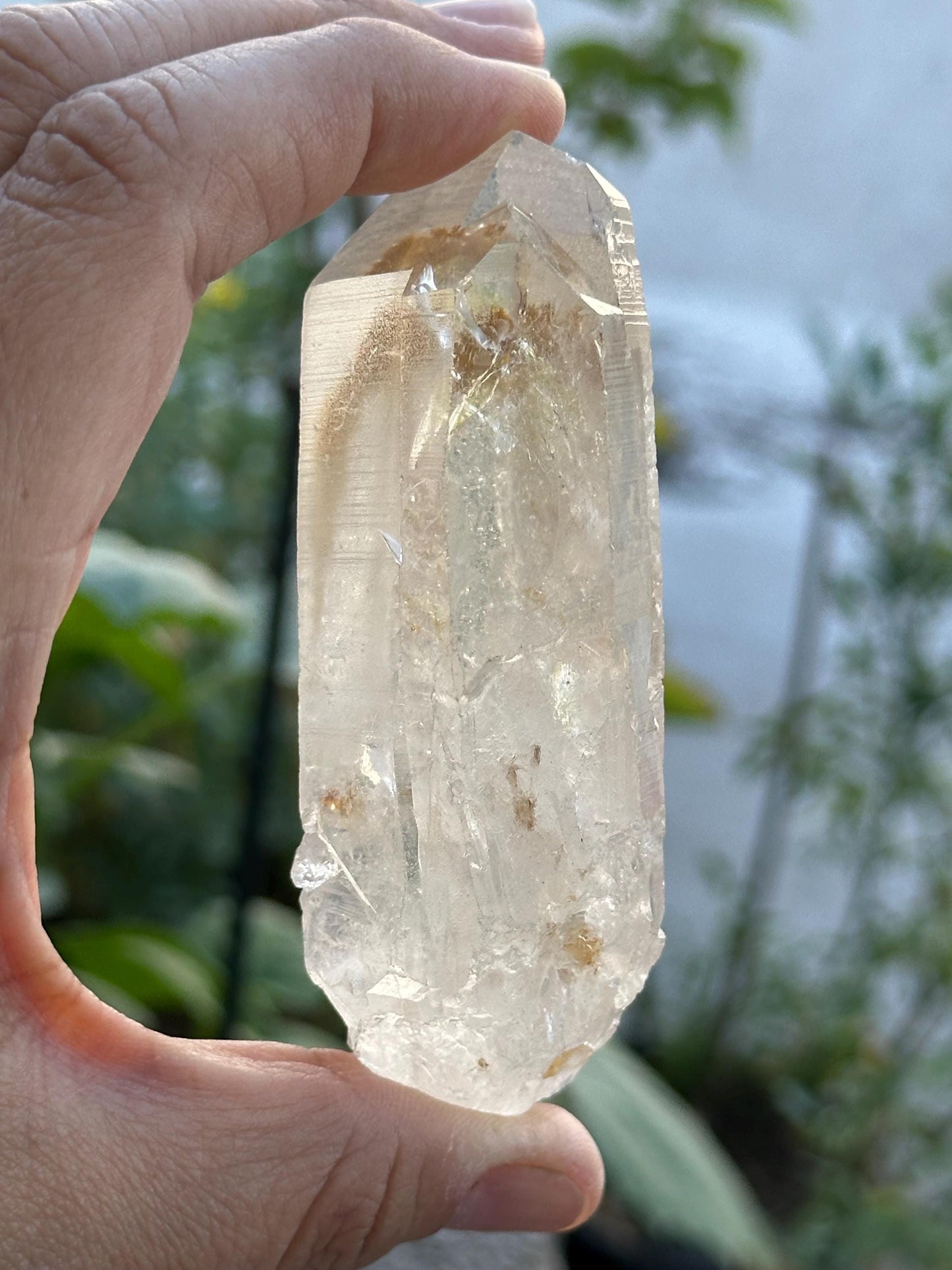Lemurian Quartz