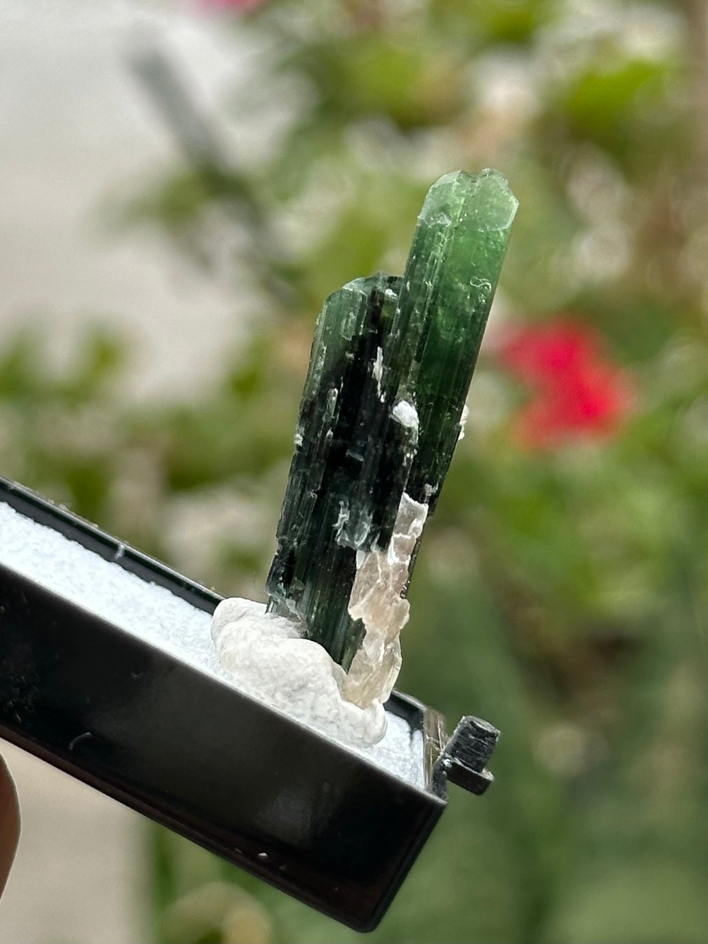Green Tourmaline and Lepidolite from Stak Nala, Pakistan
