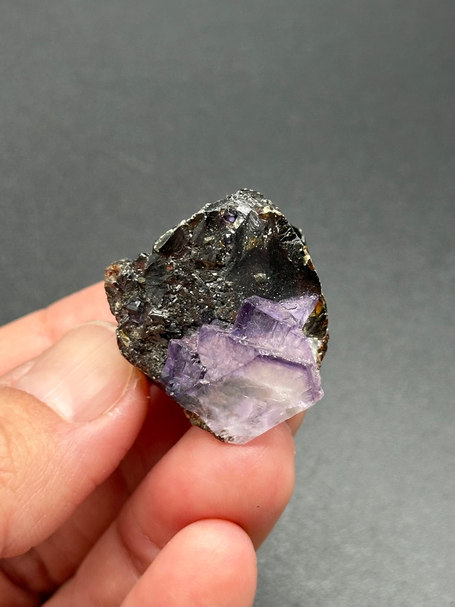 Sphalerite with Fluorite from the Elmwood Mine