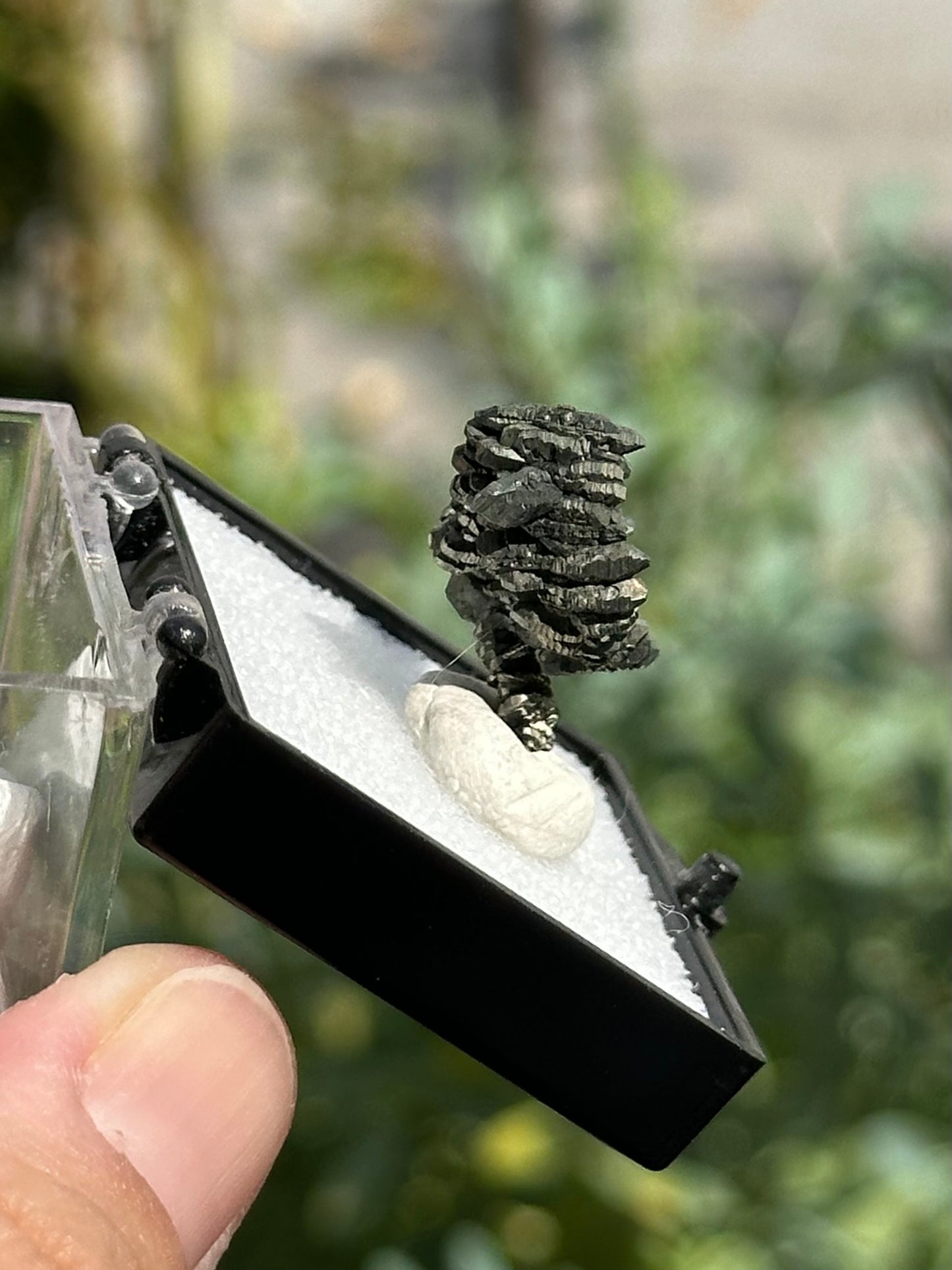 Marcasite Specimen from the Linwood Mine
