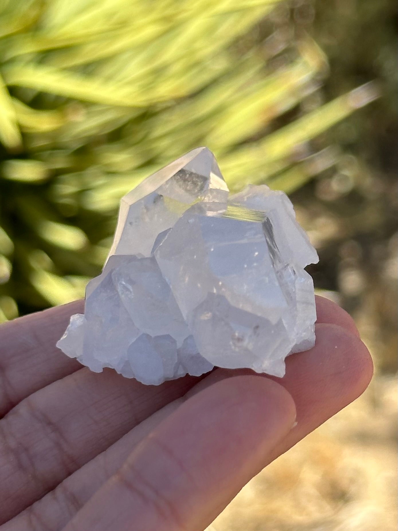 Small Clear Quartz Cluster