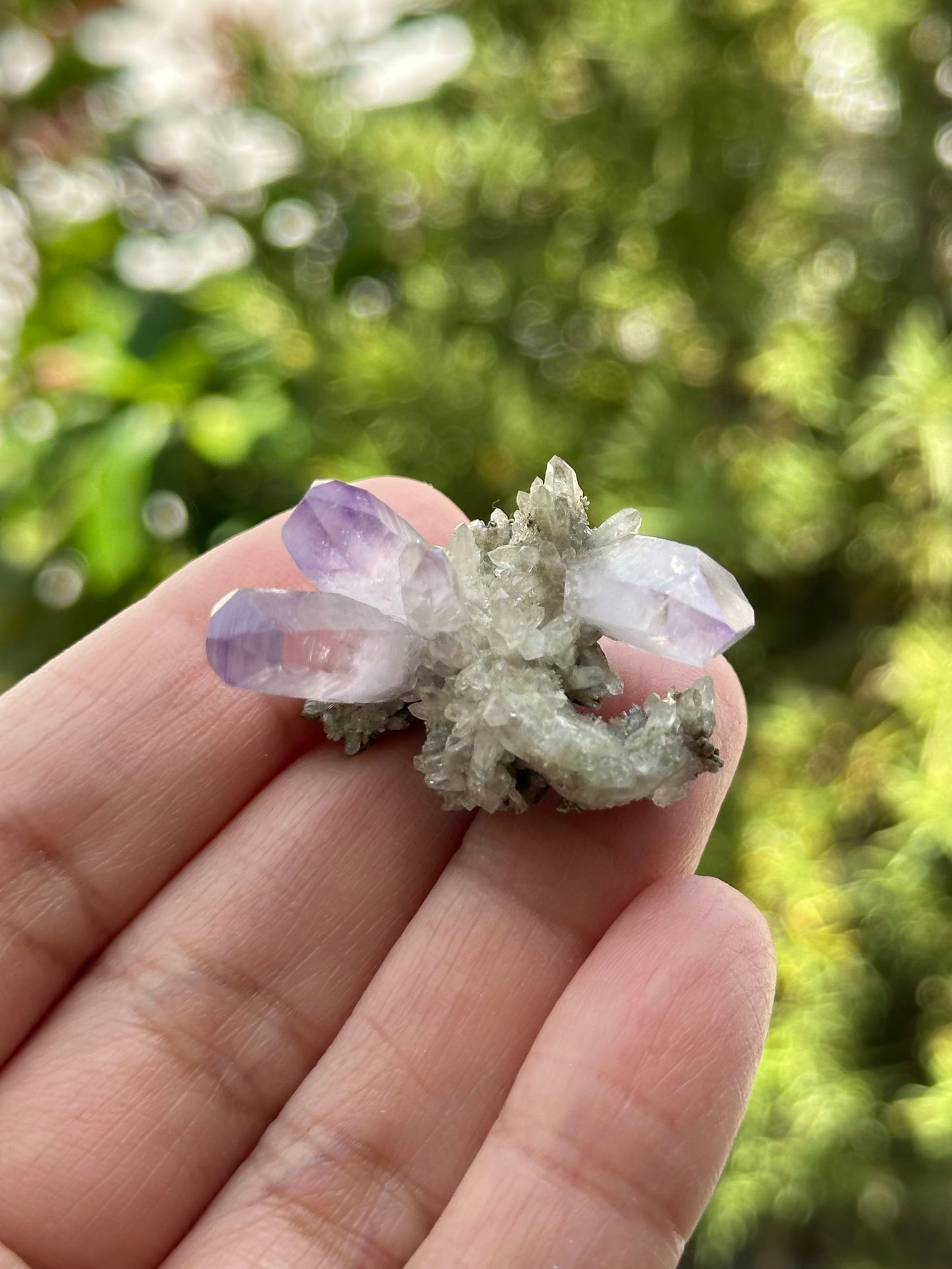 Veracruz Amethyst Cluster on Matrix