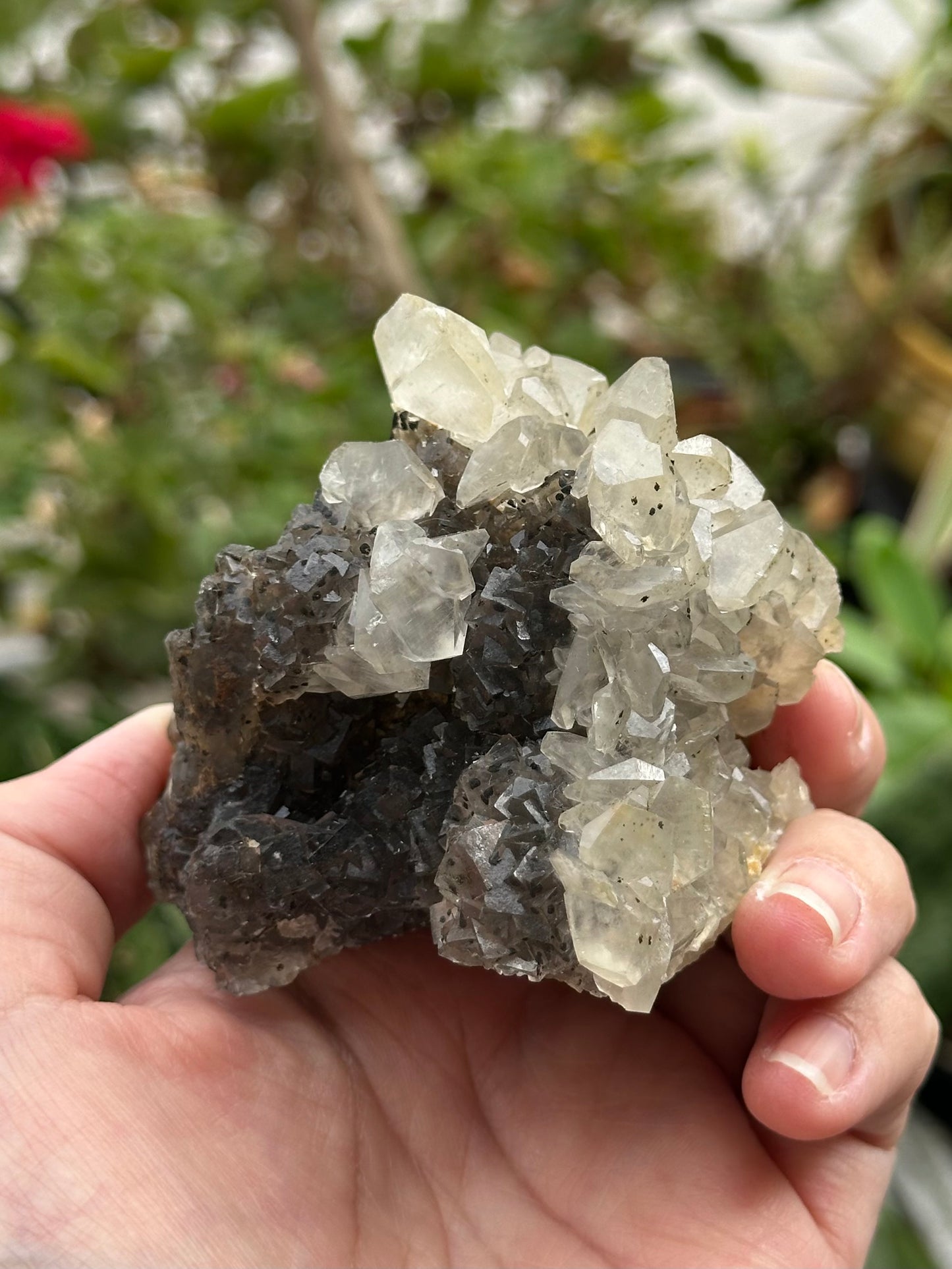 Fluorite and Calcite Specimen from Xianghualing