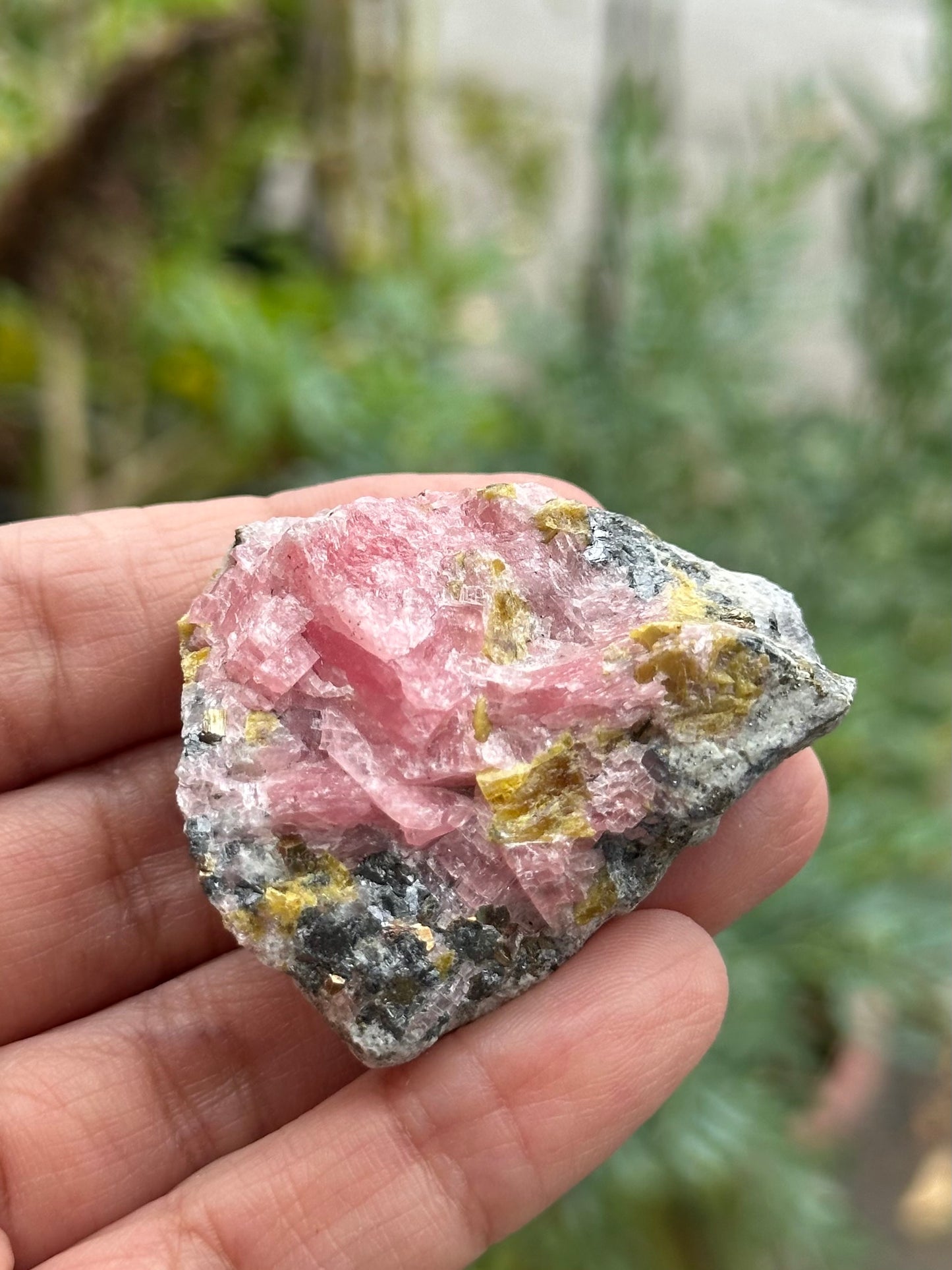 Rhodochrosite Specimen from the Wutong Mine