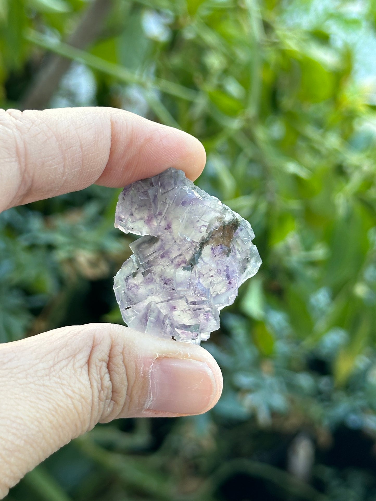 YGX Fluorite