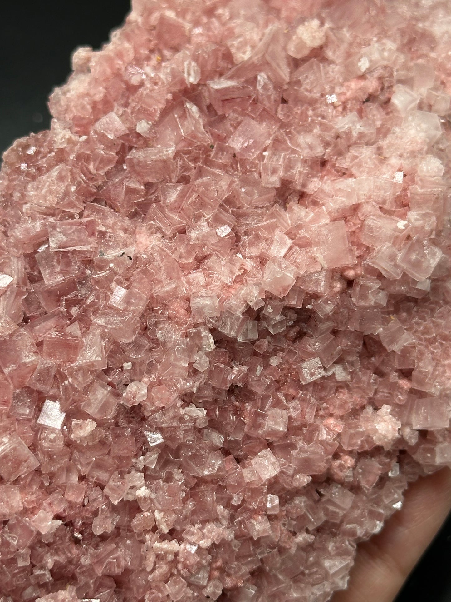 Pink Halite from Searles Lake, California