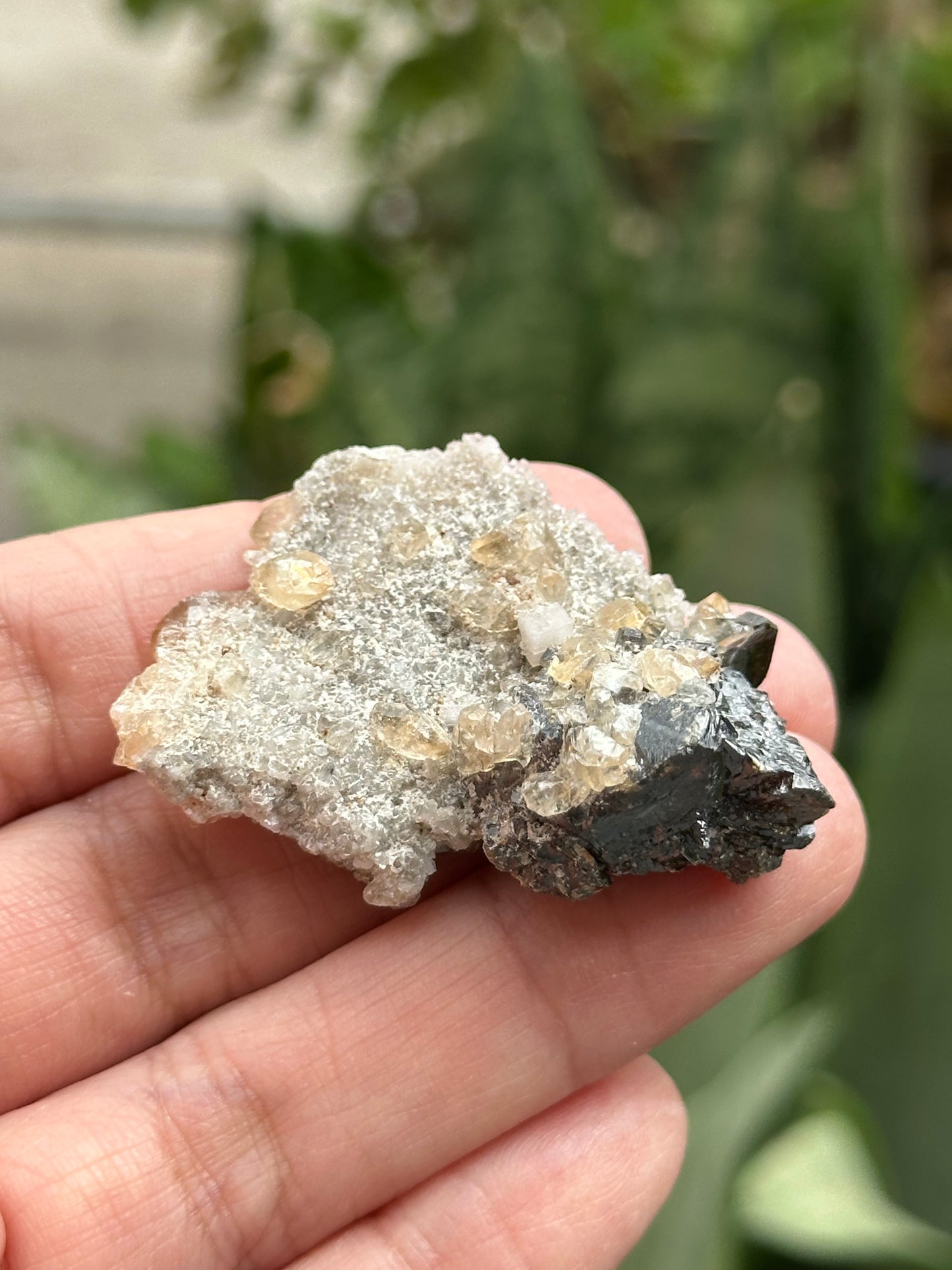 Dolomite, Sphalerite, and Calcite from the Elmwood Mine in Carthage, Tennessee