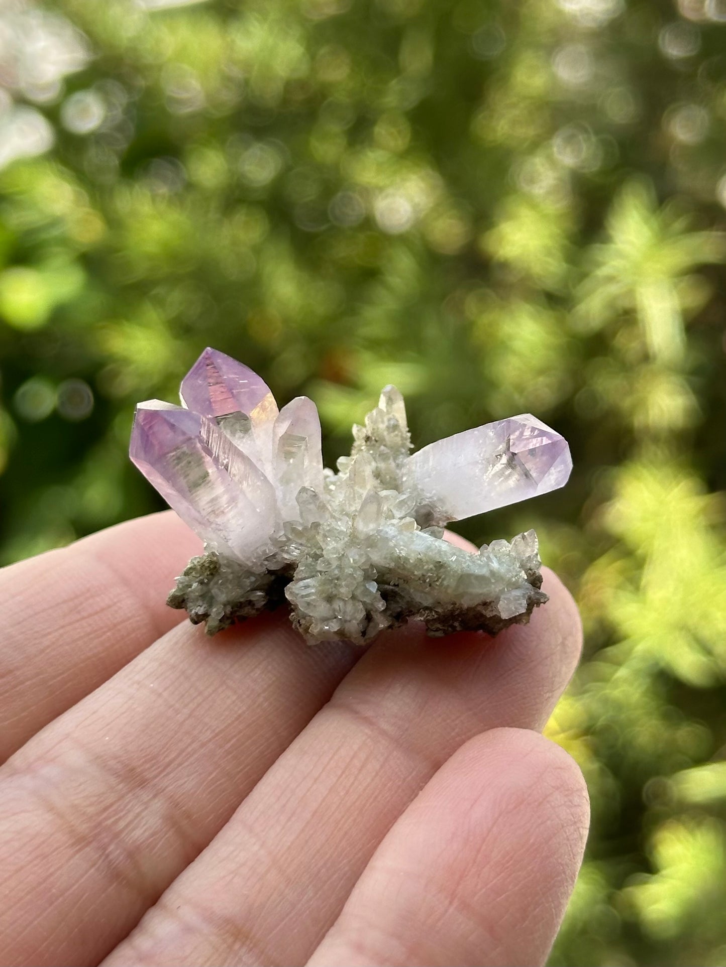 Veracruz Amethyst Cluster on Matrix