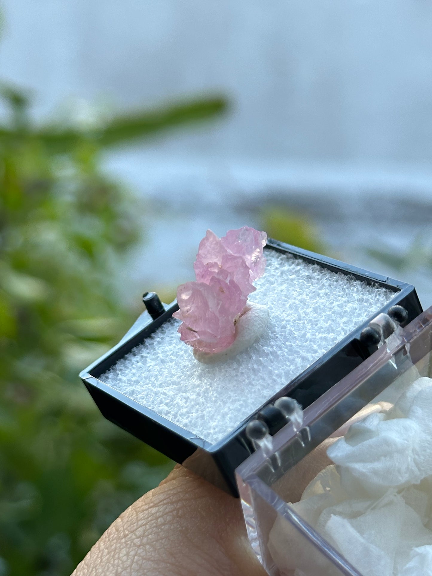 Crystallized Rose Quartz from Afghanistan