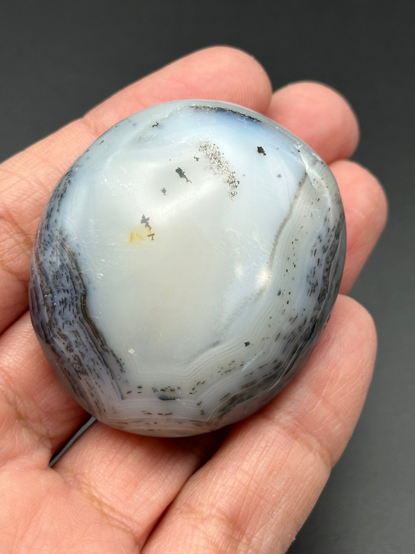 Dendritic Agate Palm Stone