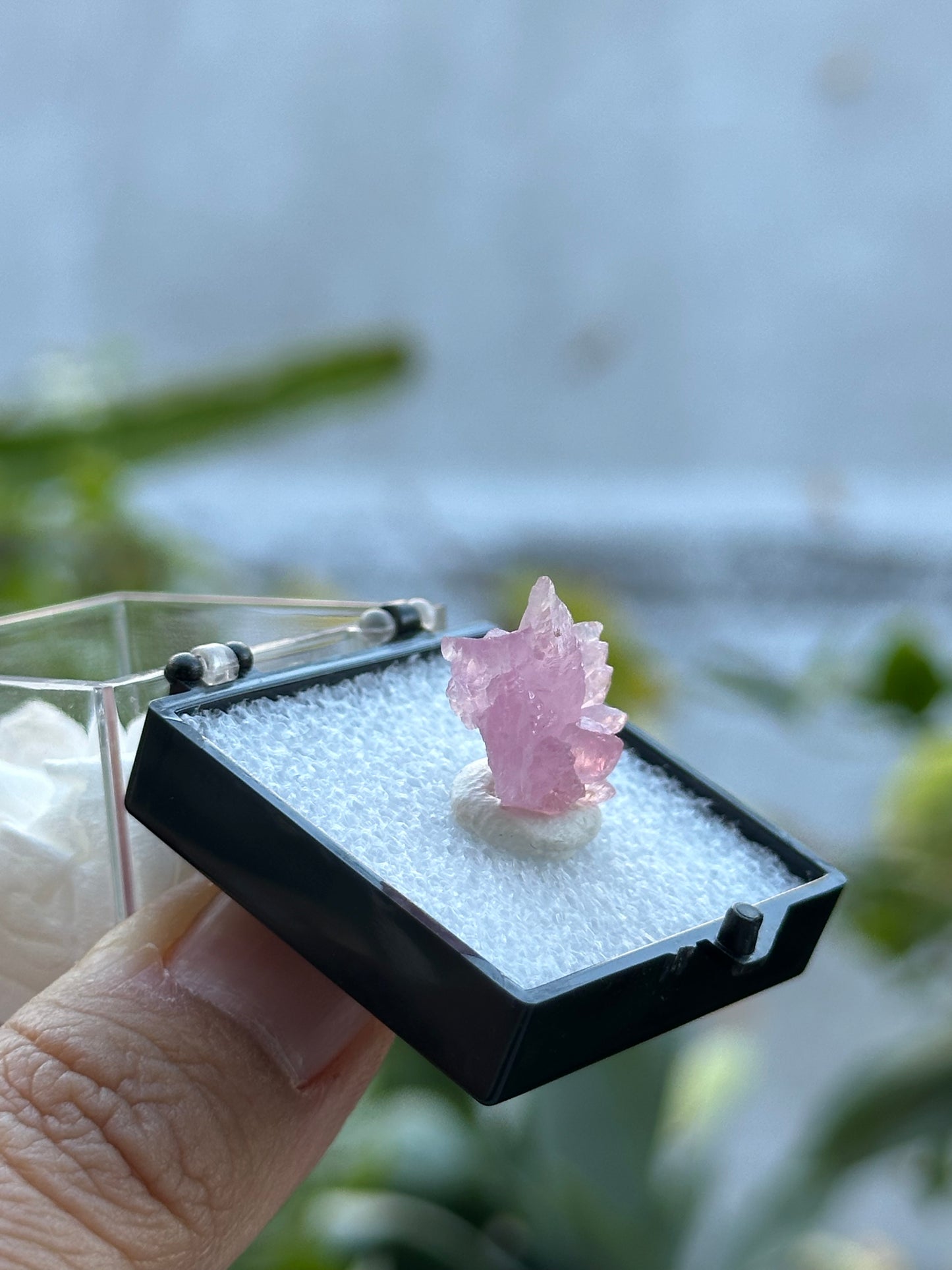 Crystallized Rose Quartz from Afghanistan